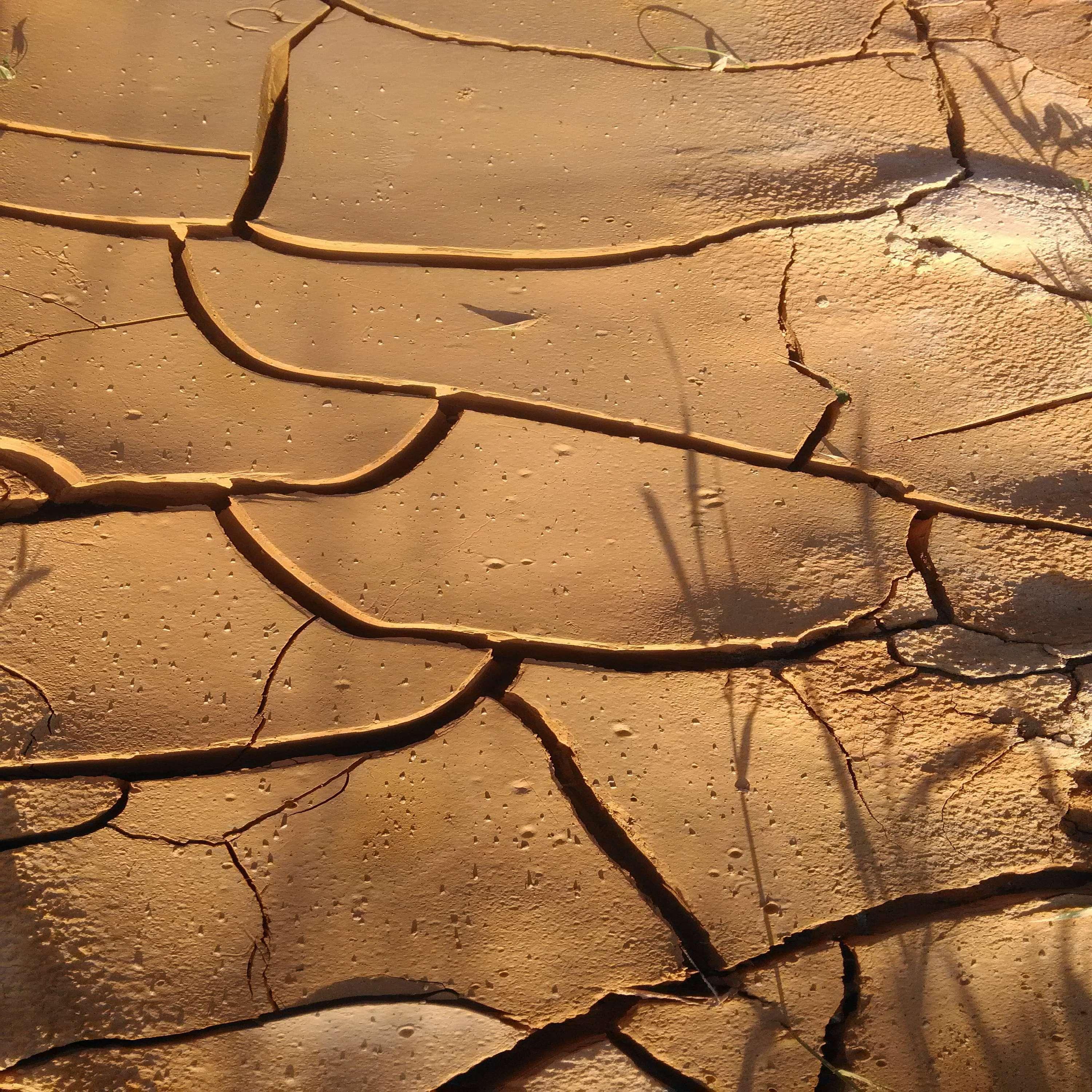 Релиз Comon Baby