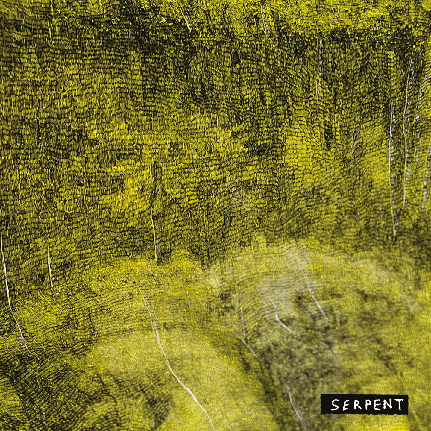 Релиз Serpent