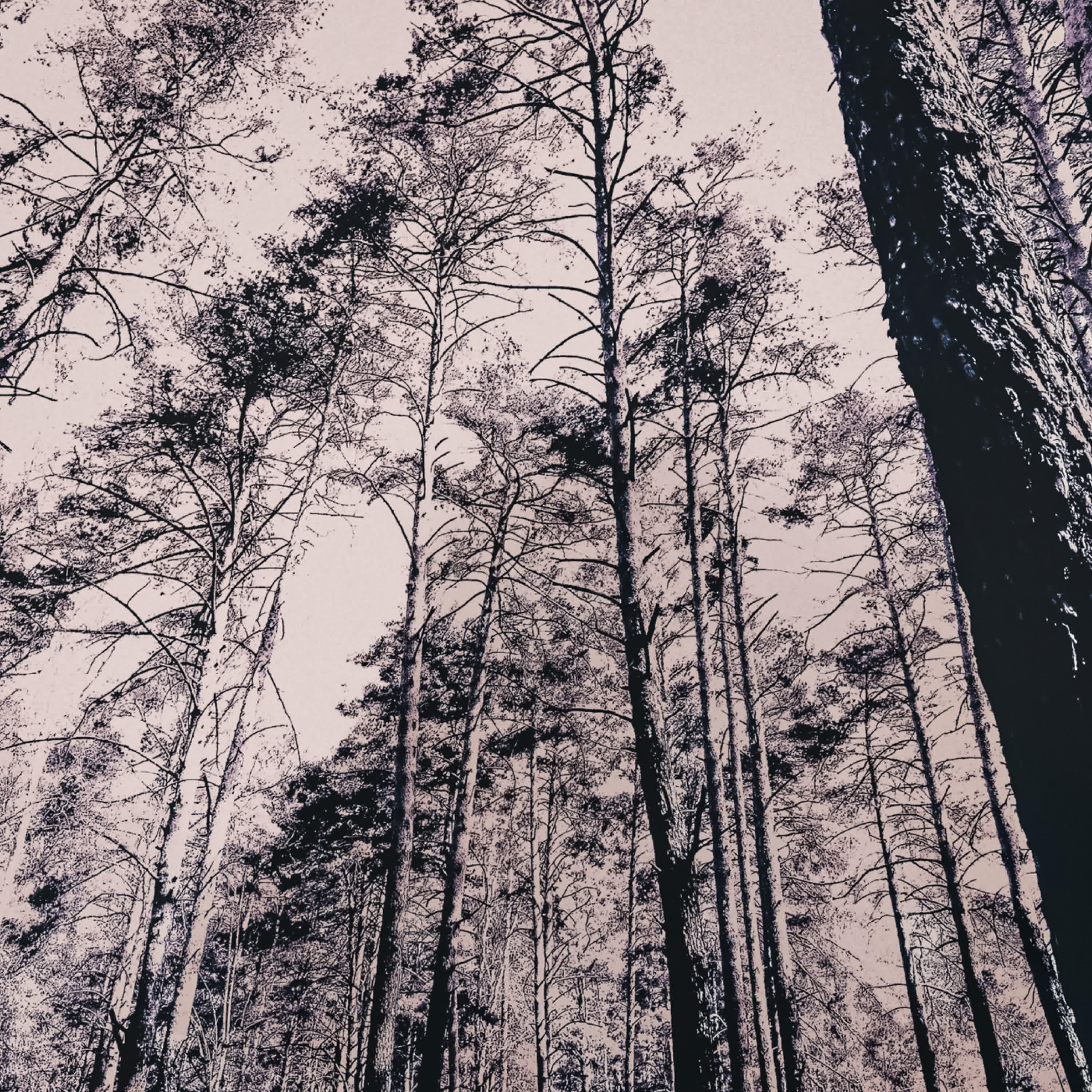 Релиз the cold night feels endless