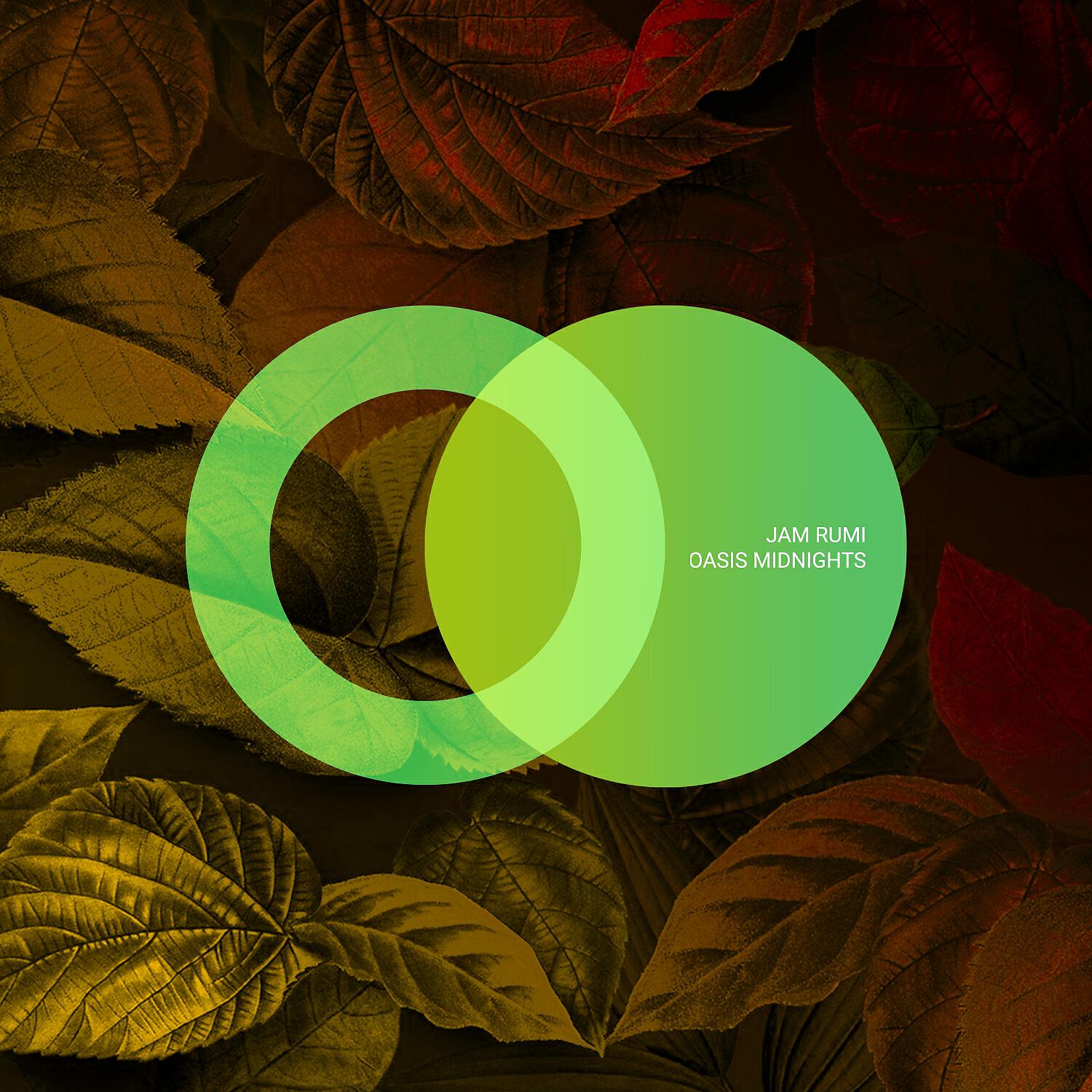 Релиз Oasis Midnights
