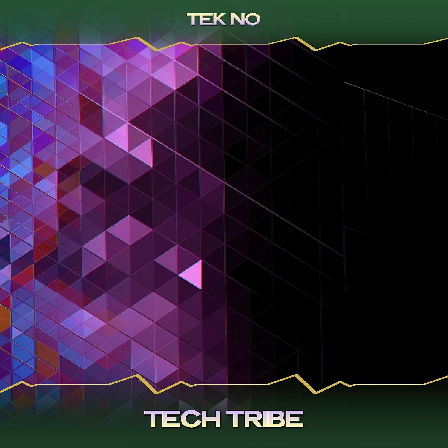 Tek No