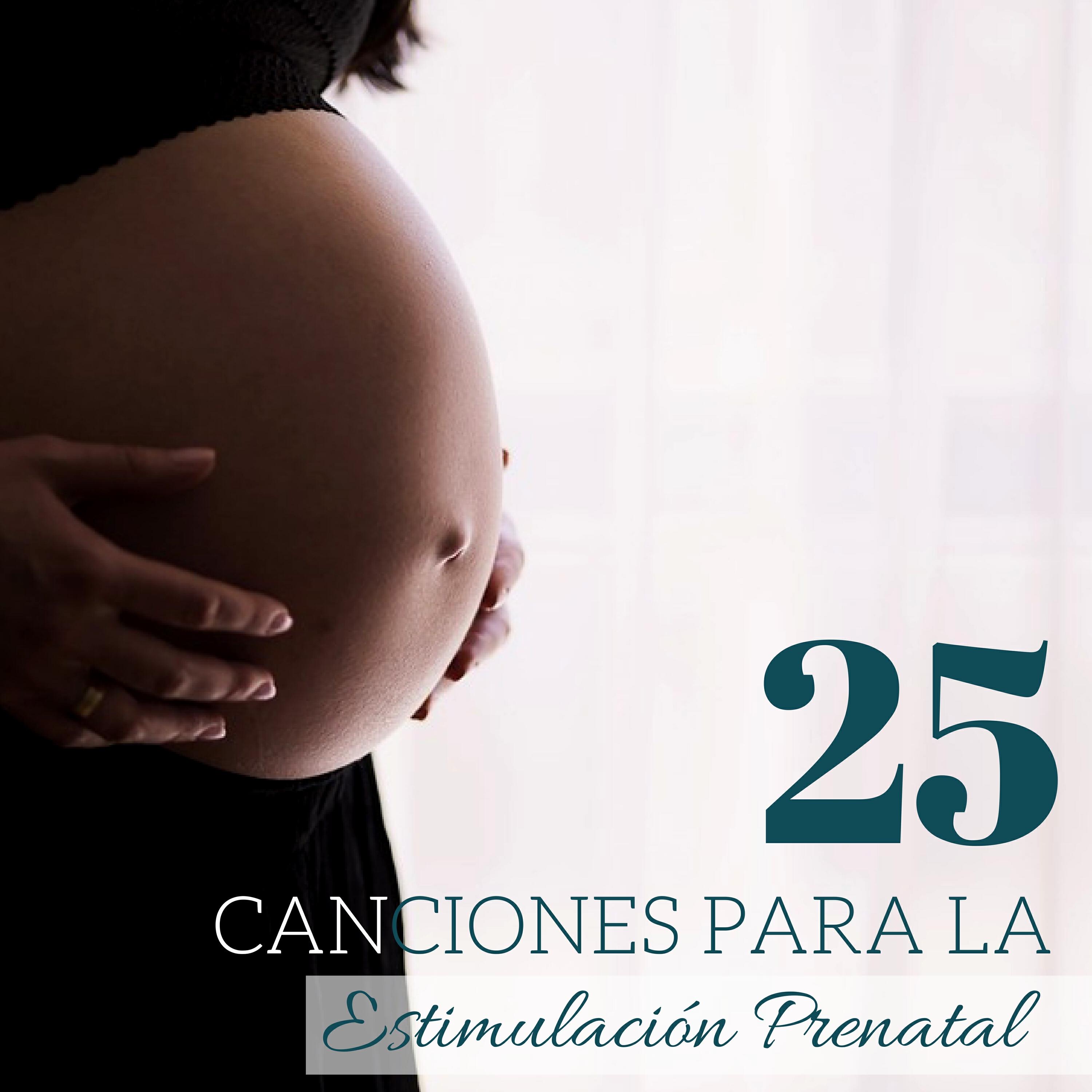 Релиз 25 Canciones para la Estimulación Prenatal - La Mejor Música Instrumental