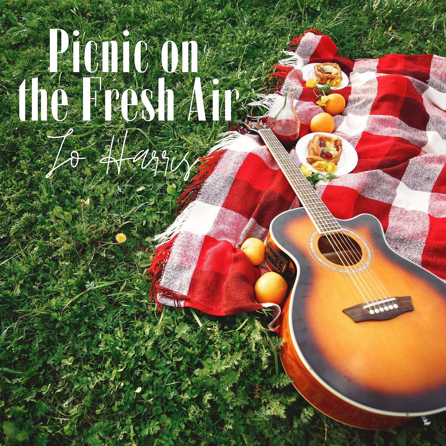 Релиз Picnic on the Fresh Air