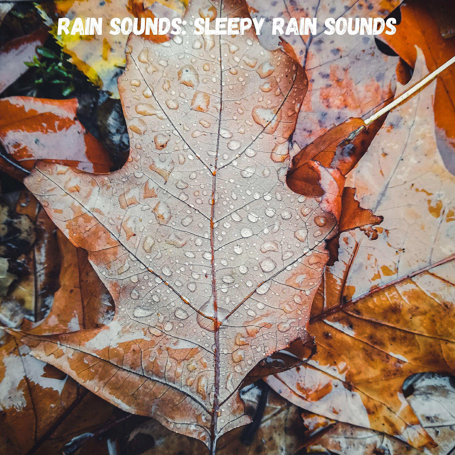 Weather and Nature Recordings & Massage Music & Easy Listening Background Music - Water and Wind Sounds