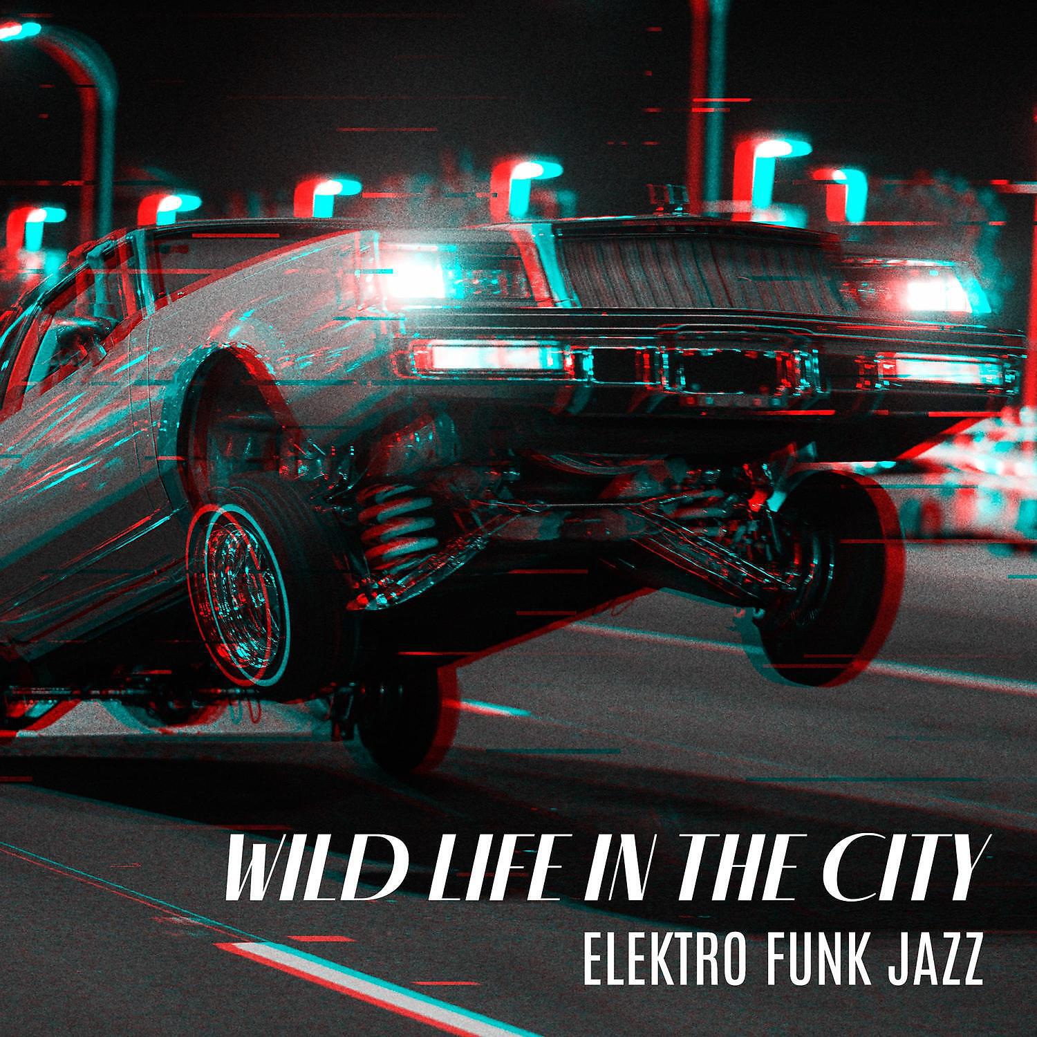 Релиз Wild Life in the City: Elektro Funk Jazz - Study Break Music Relax