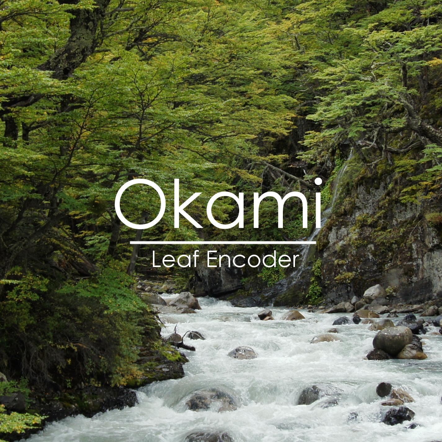 Релиз Leaf Encoder