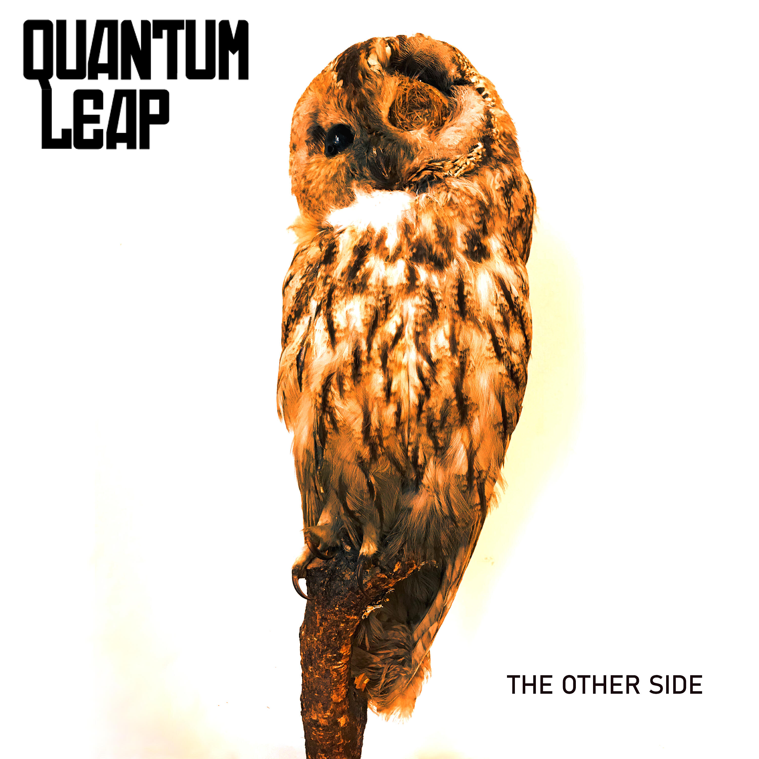 Релиз The Other Side