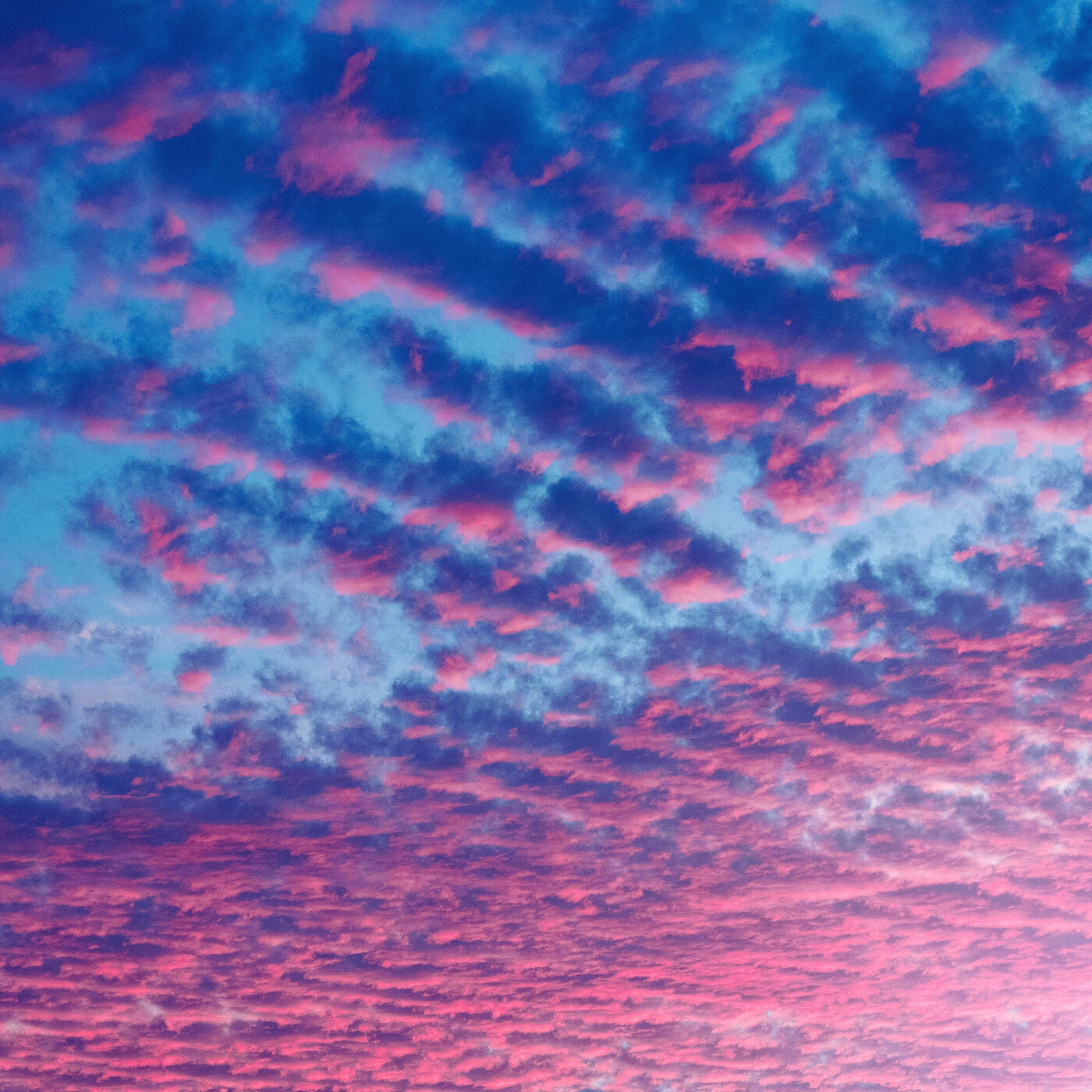 Релиз Hollywood Lofi