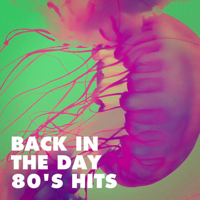 Релиз Back in the Day 80's Hits