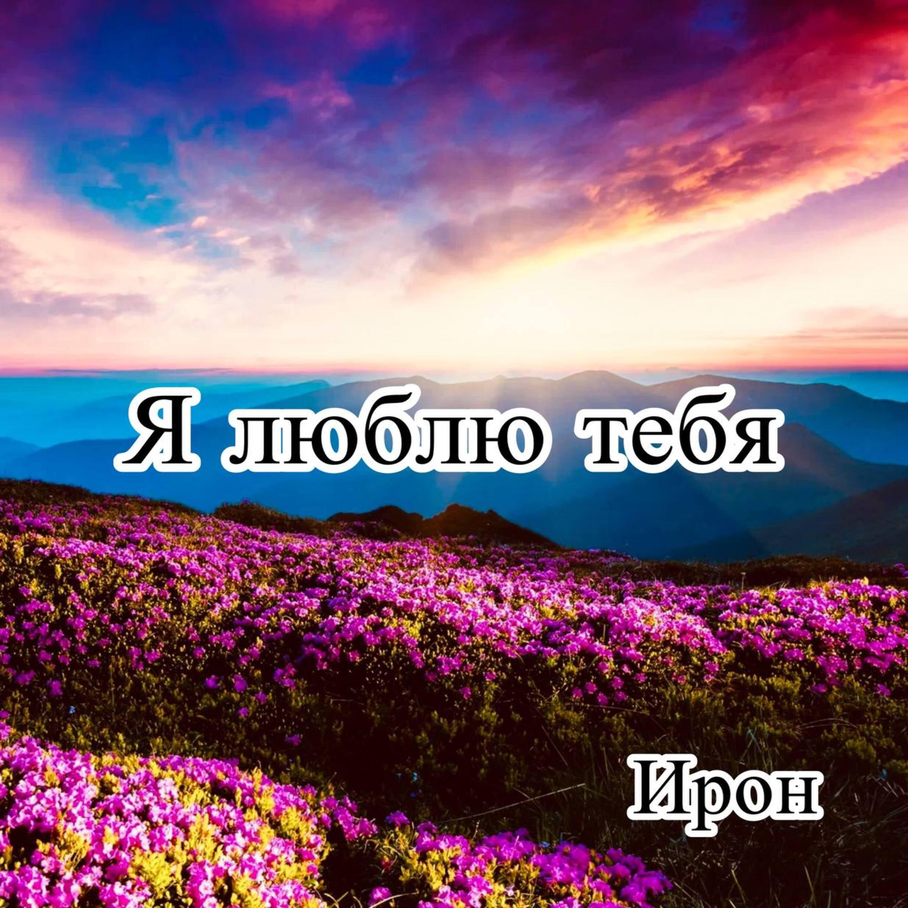 Релиз Я люблю тебя