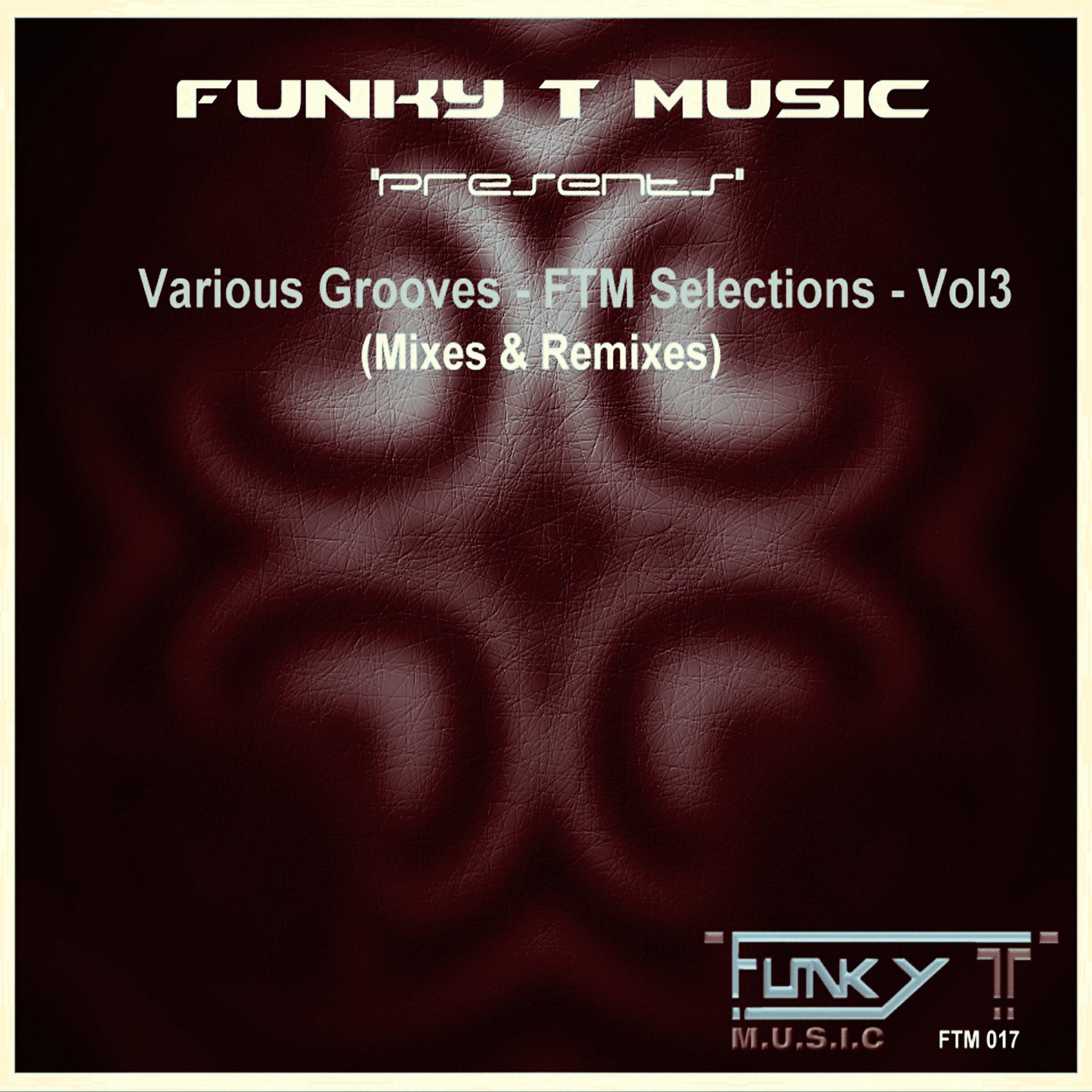 Релиз Various Grooves: FTM Selections, Vol. 3 (Mixes & Remixes)