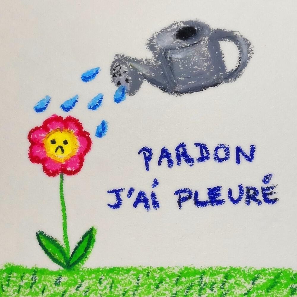 Релиз Pardon j'ai pleuré