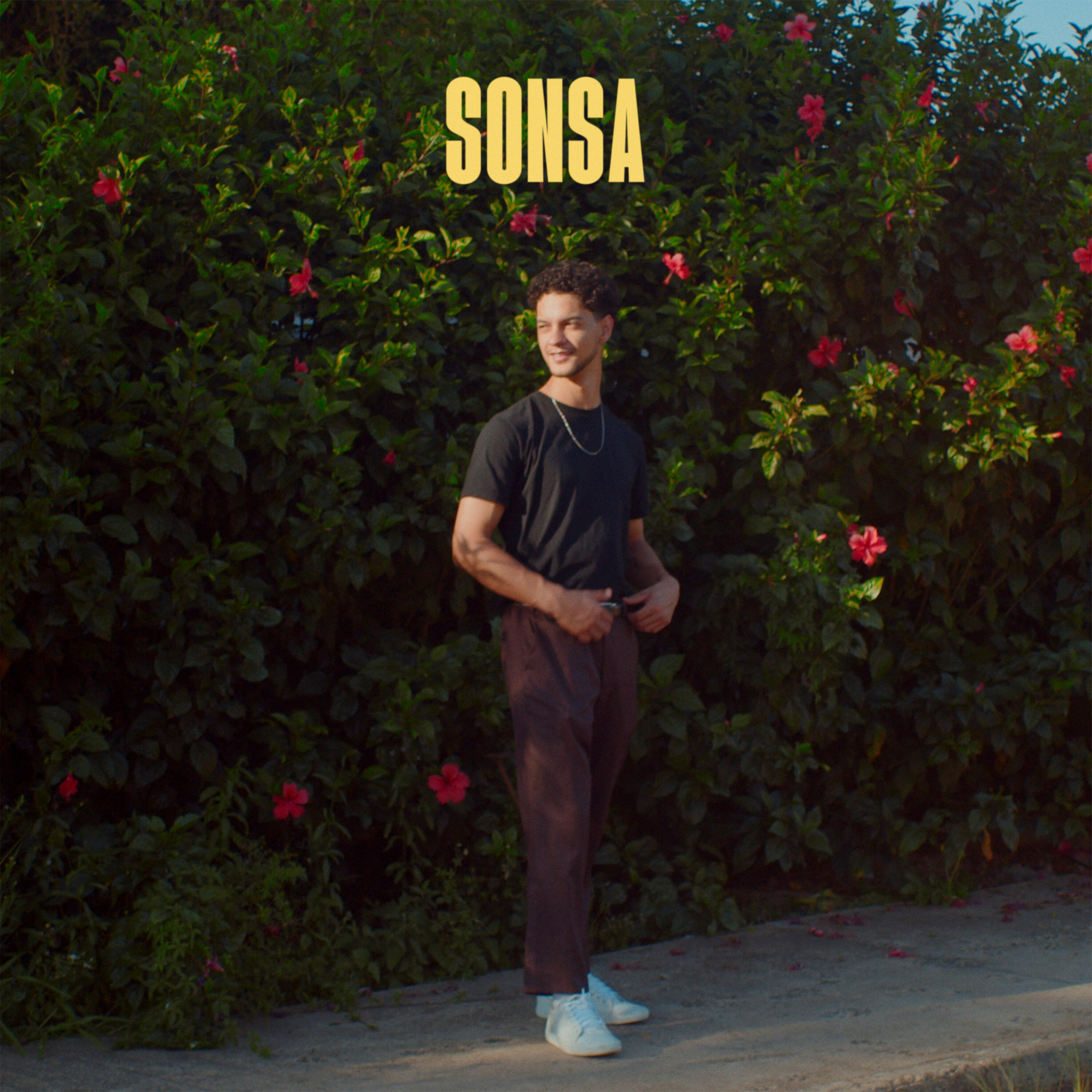 Релиз Sonsa