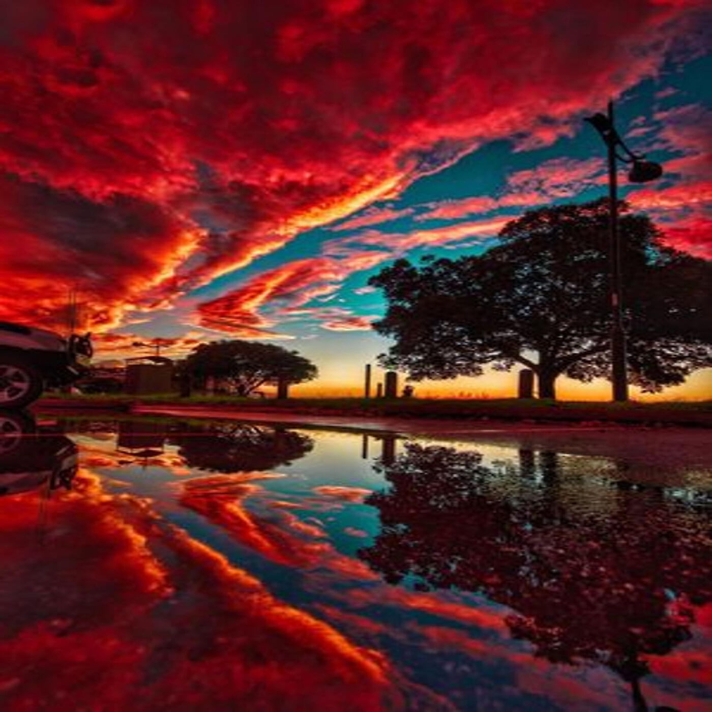 Релиз Live Vens