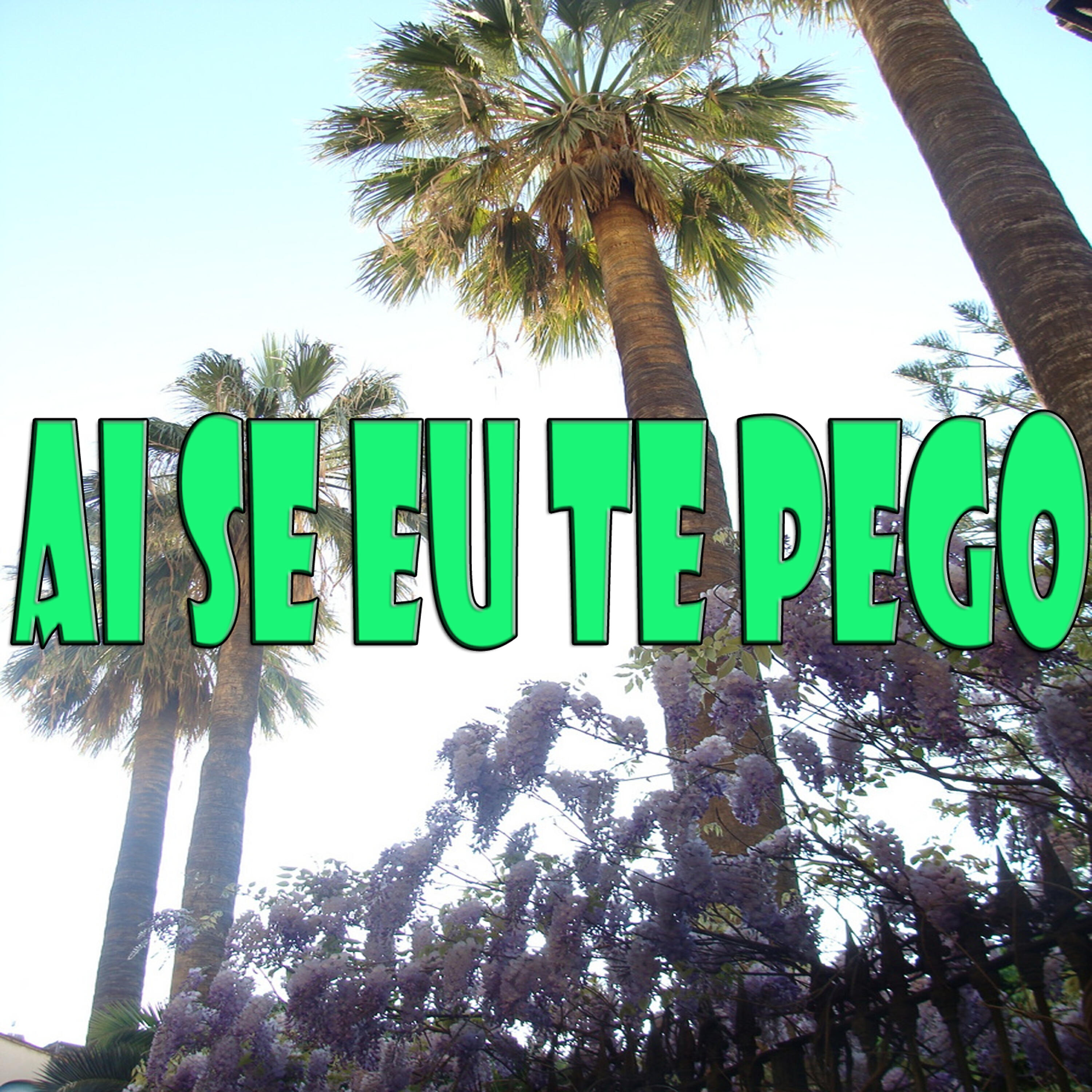 Релиз Ai Se Eu Te Pego