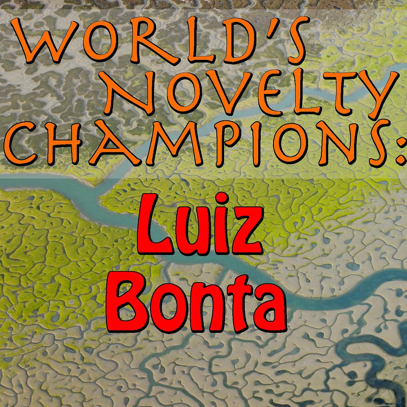 Luiz Bonta