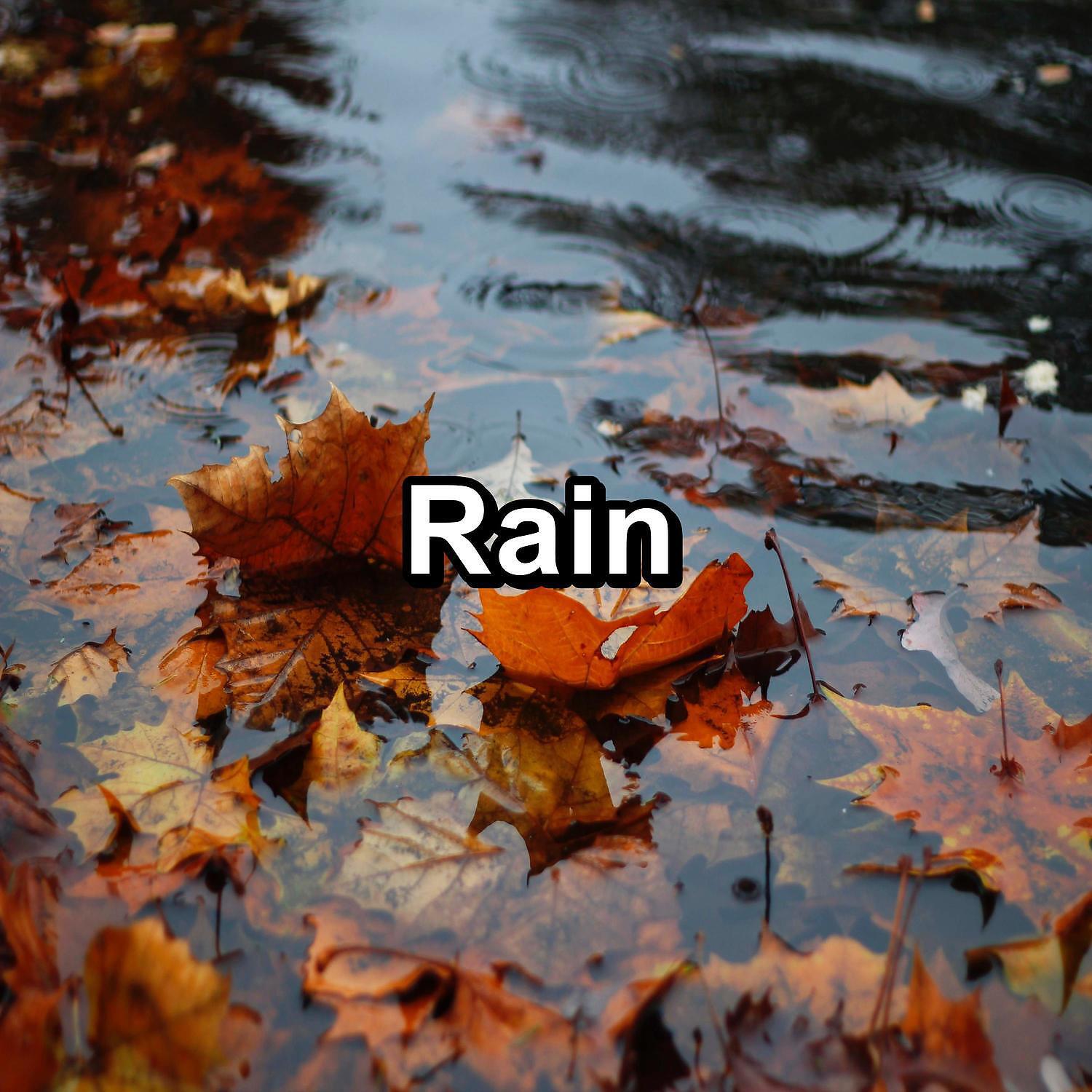 Релиз Rain