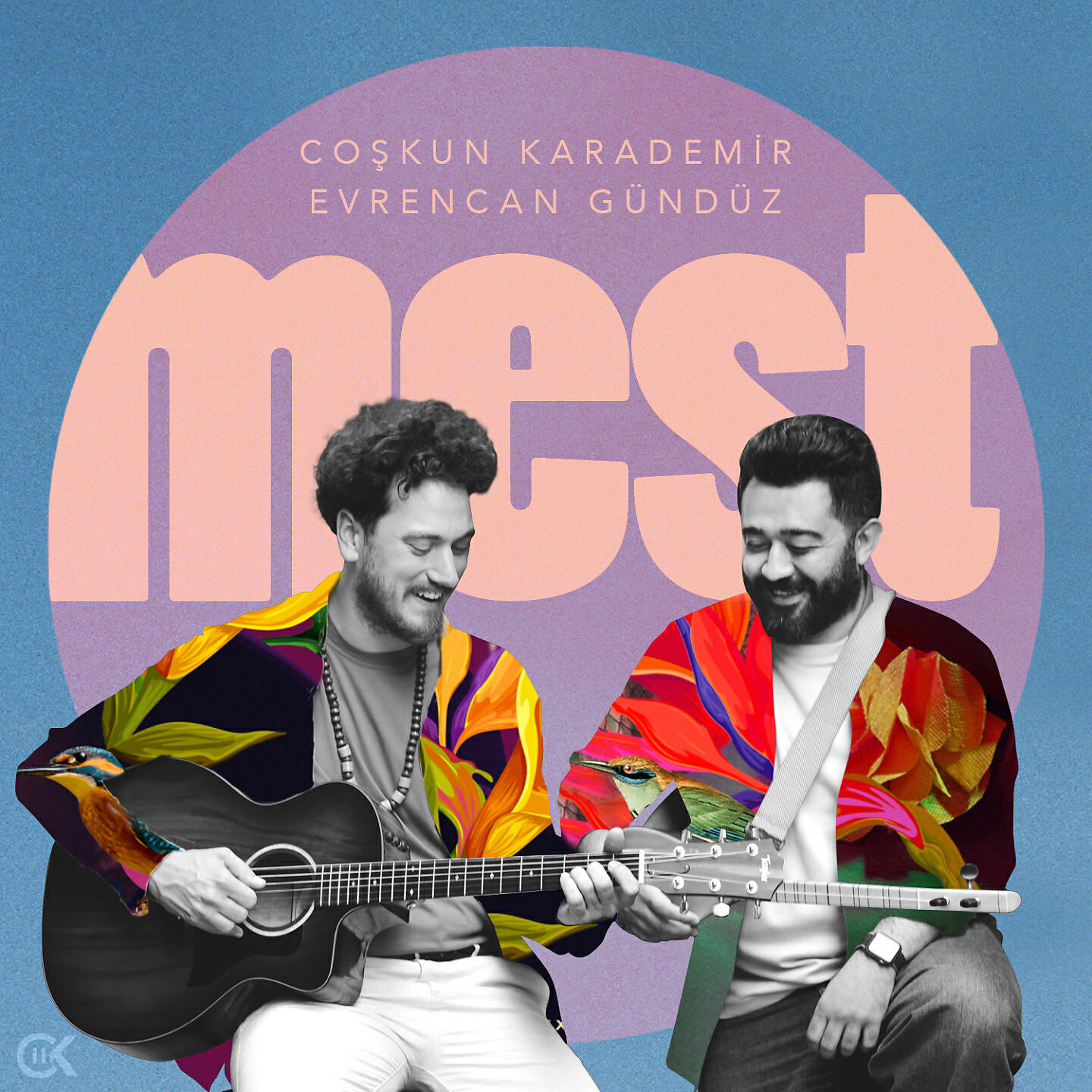 Релиз Mest