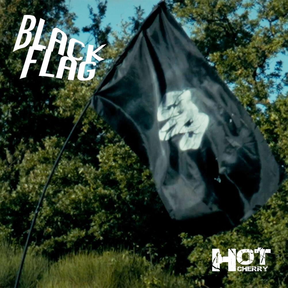Релиз Black Flag
