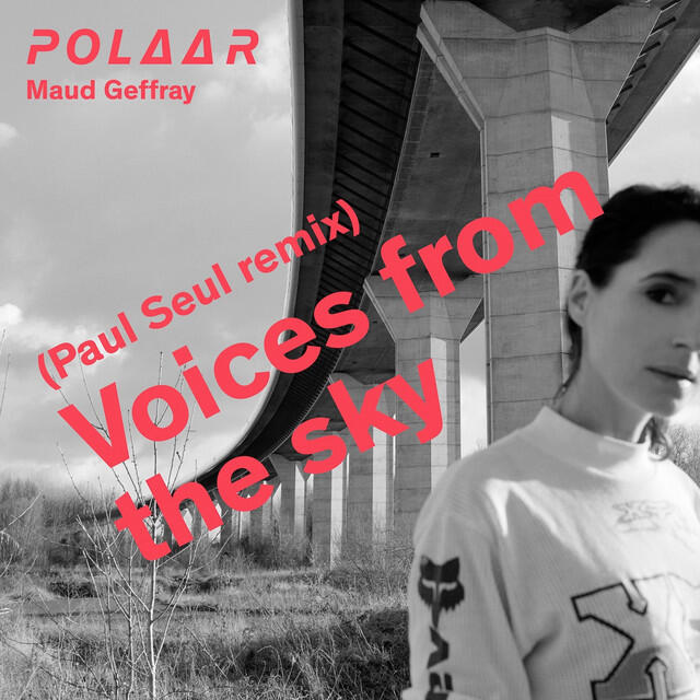 Релиз Voices from the Sky (Paul Seul Remix)