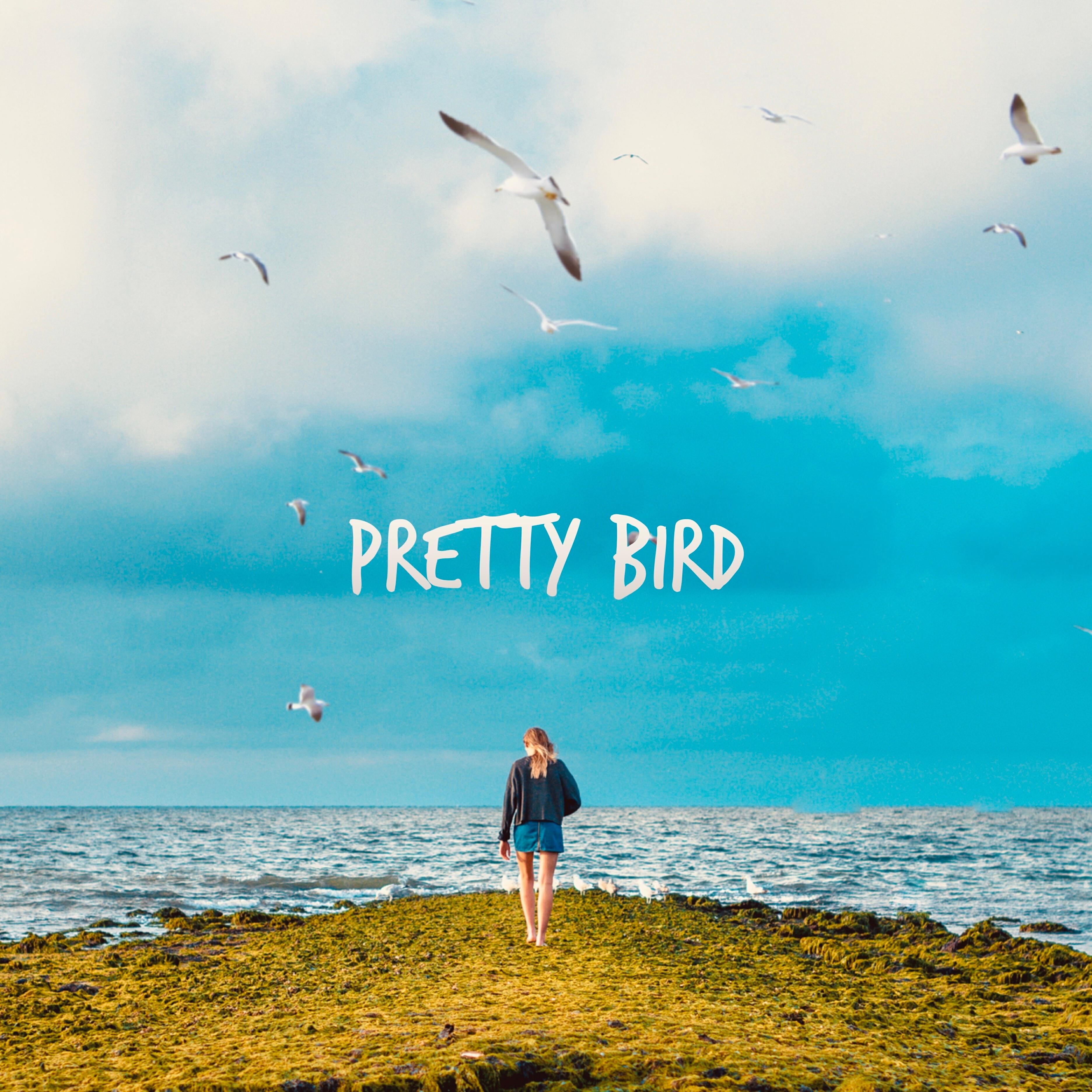 Релиз Pretty Bird