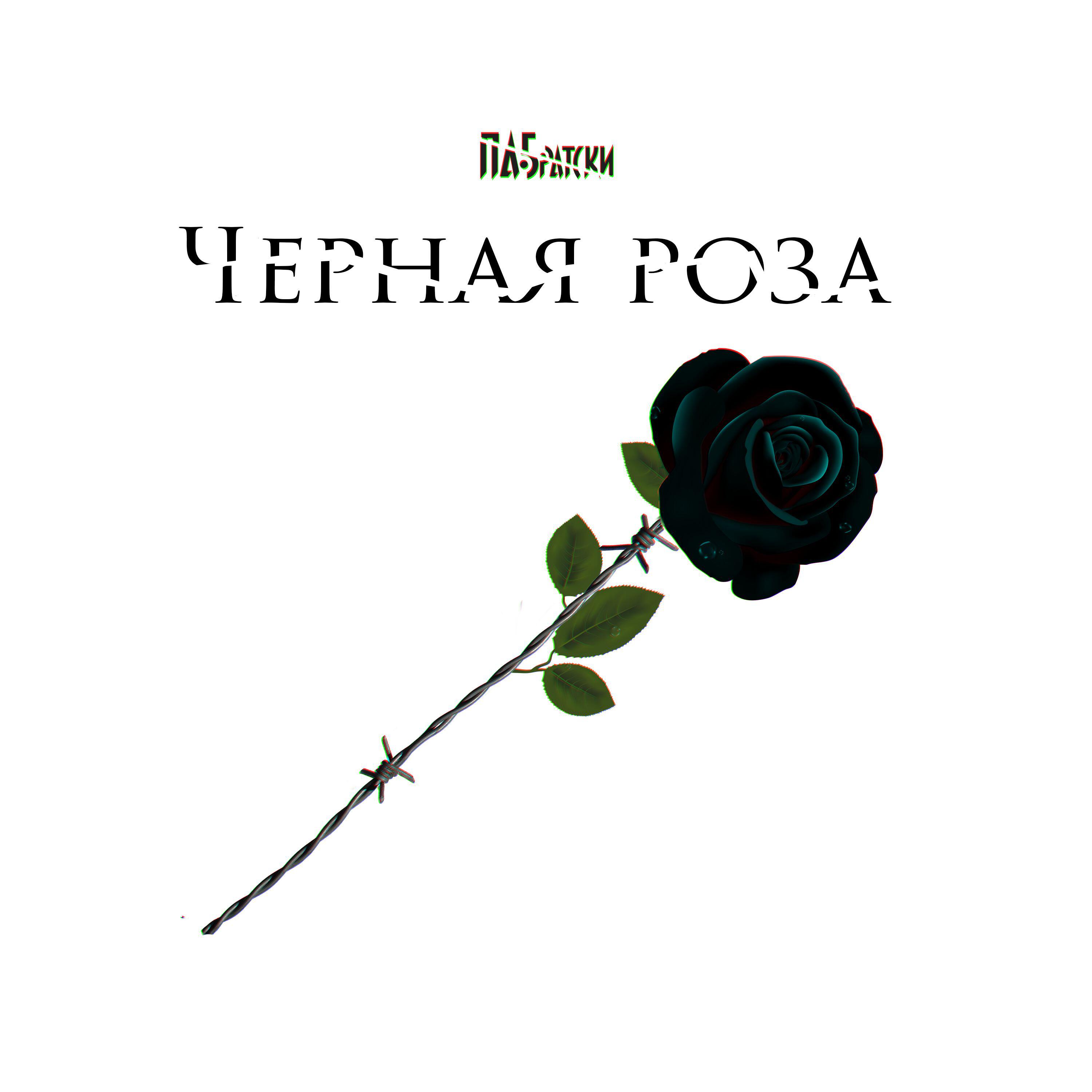 Релиз Черная роза