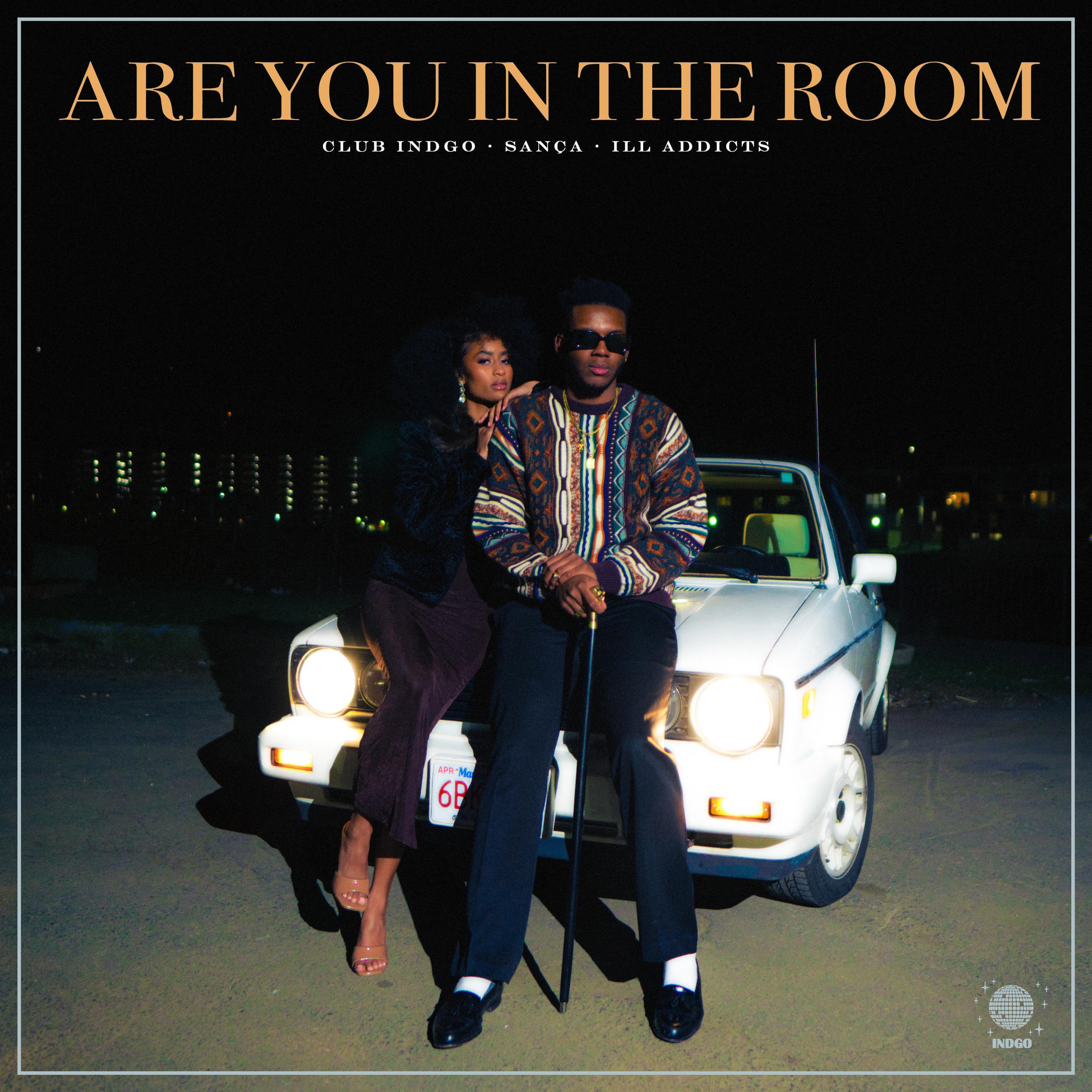 Релиз Are You In The Room