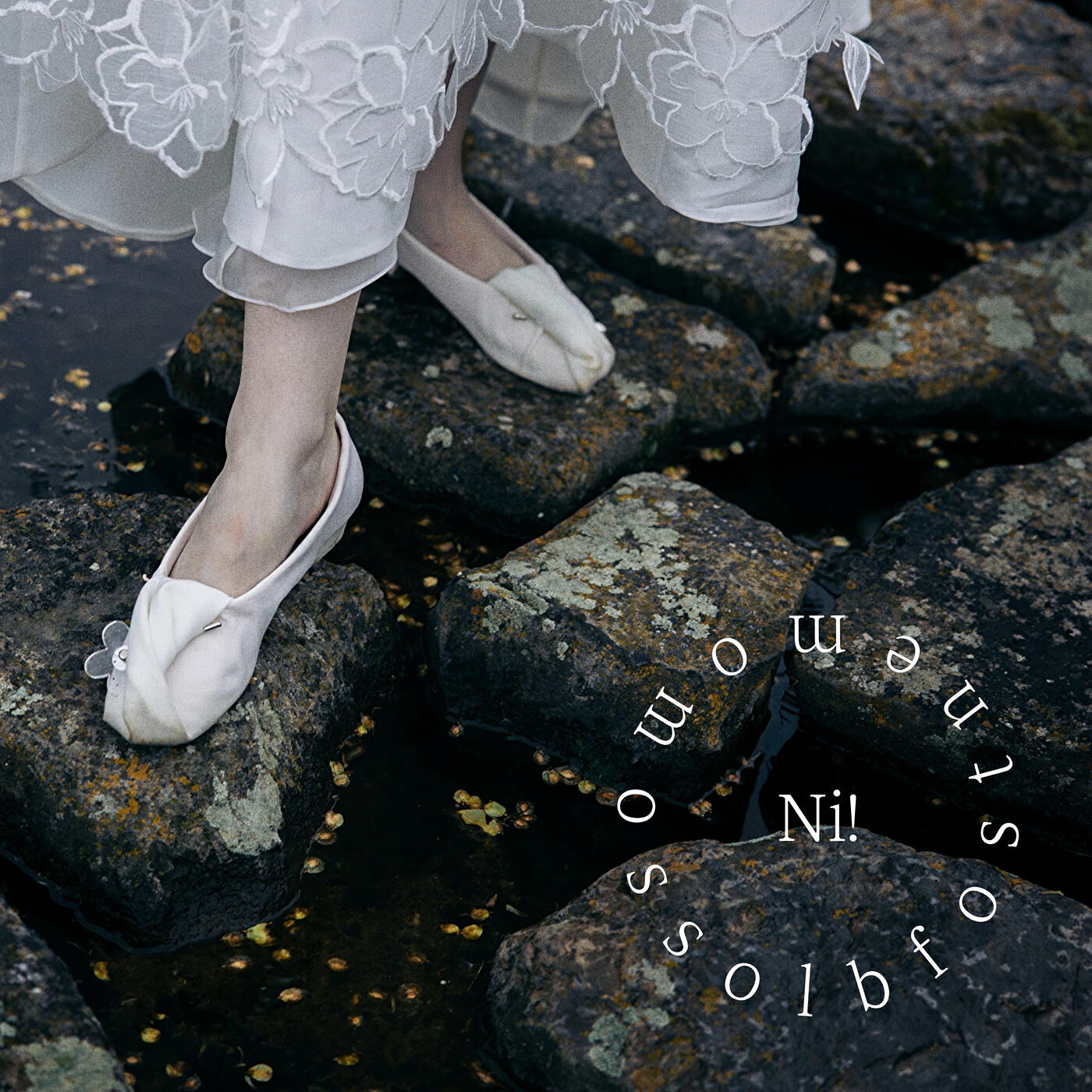 Релиз Moments of Blossom