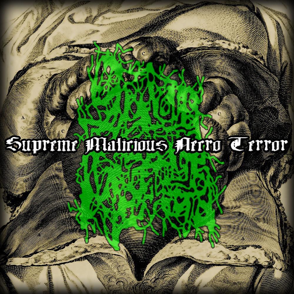 Релиз Supreme Malicious Necro Terror