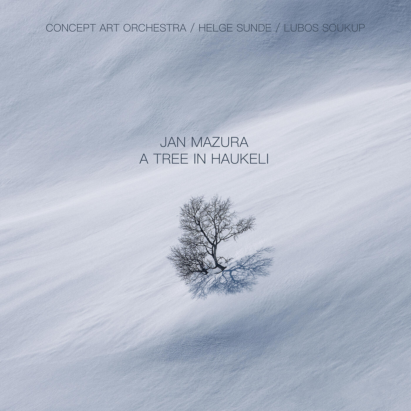 Релиз A Tree in Haukeli