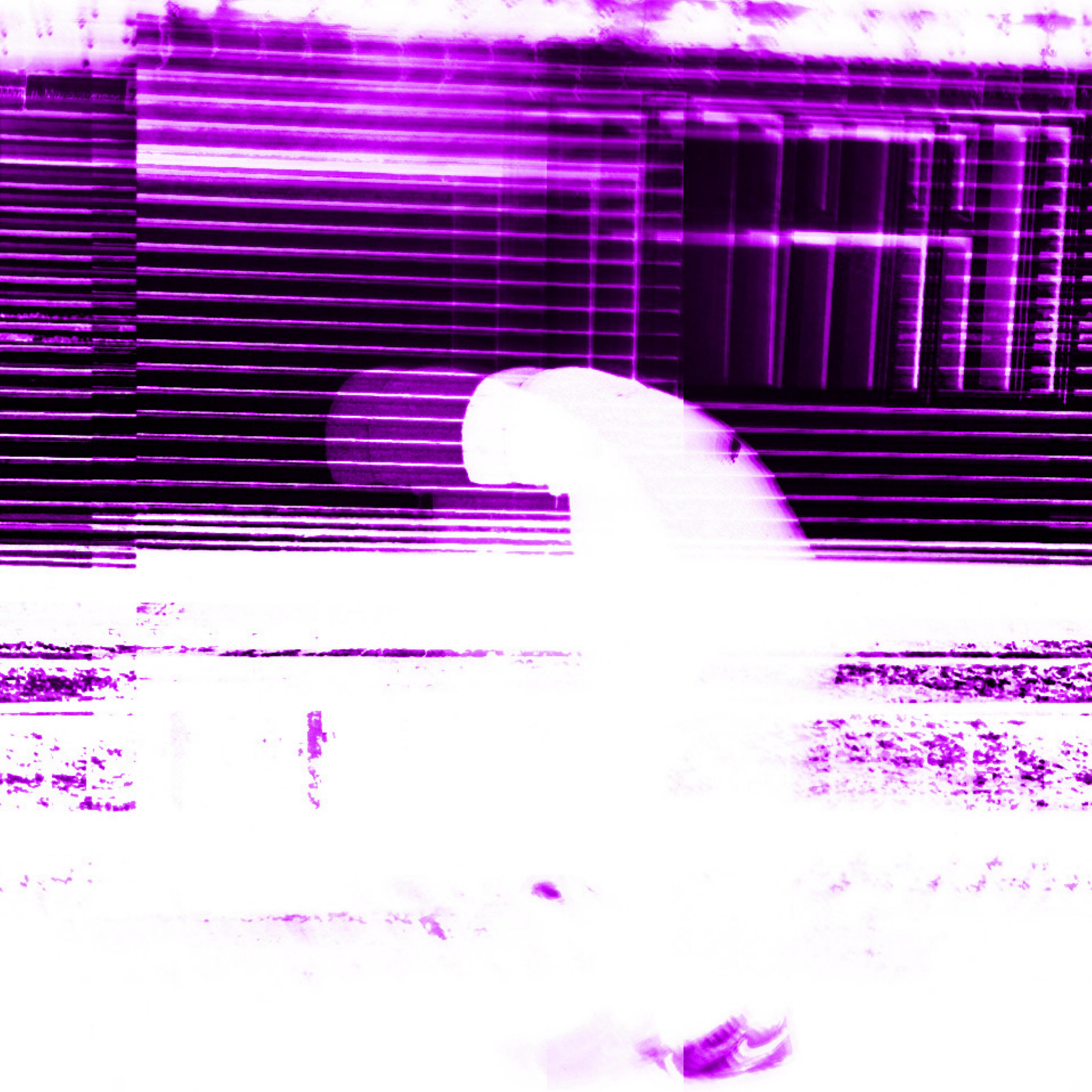 Dunki