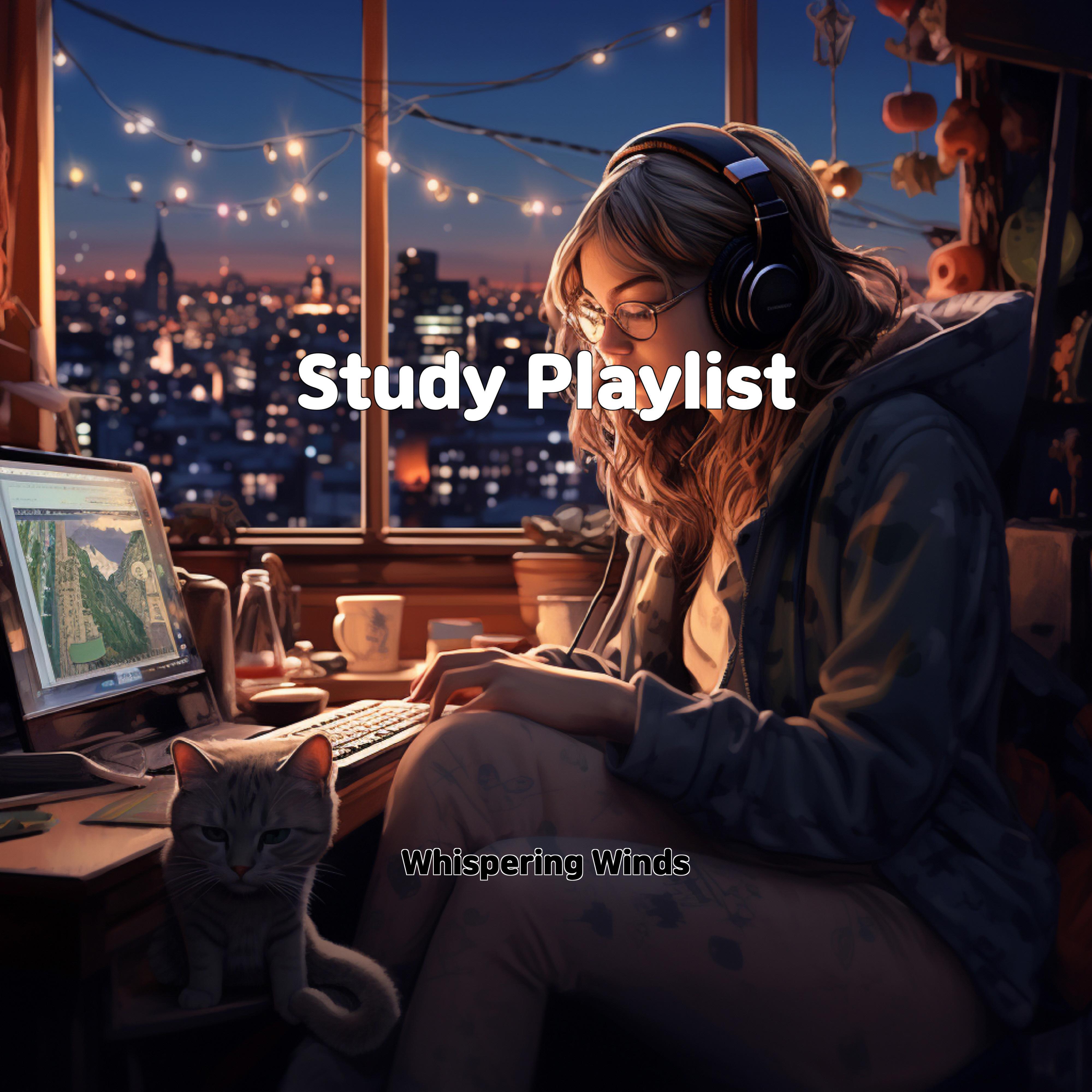 Релиз Study Playlist