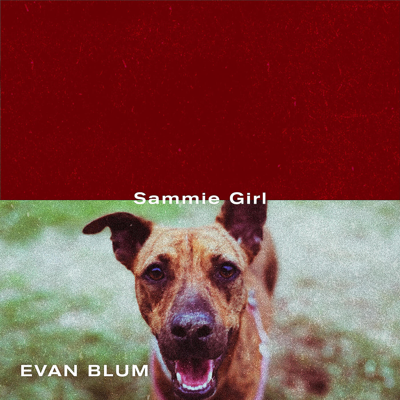 Релиз Sammie Girl
