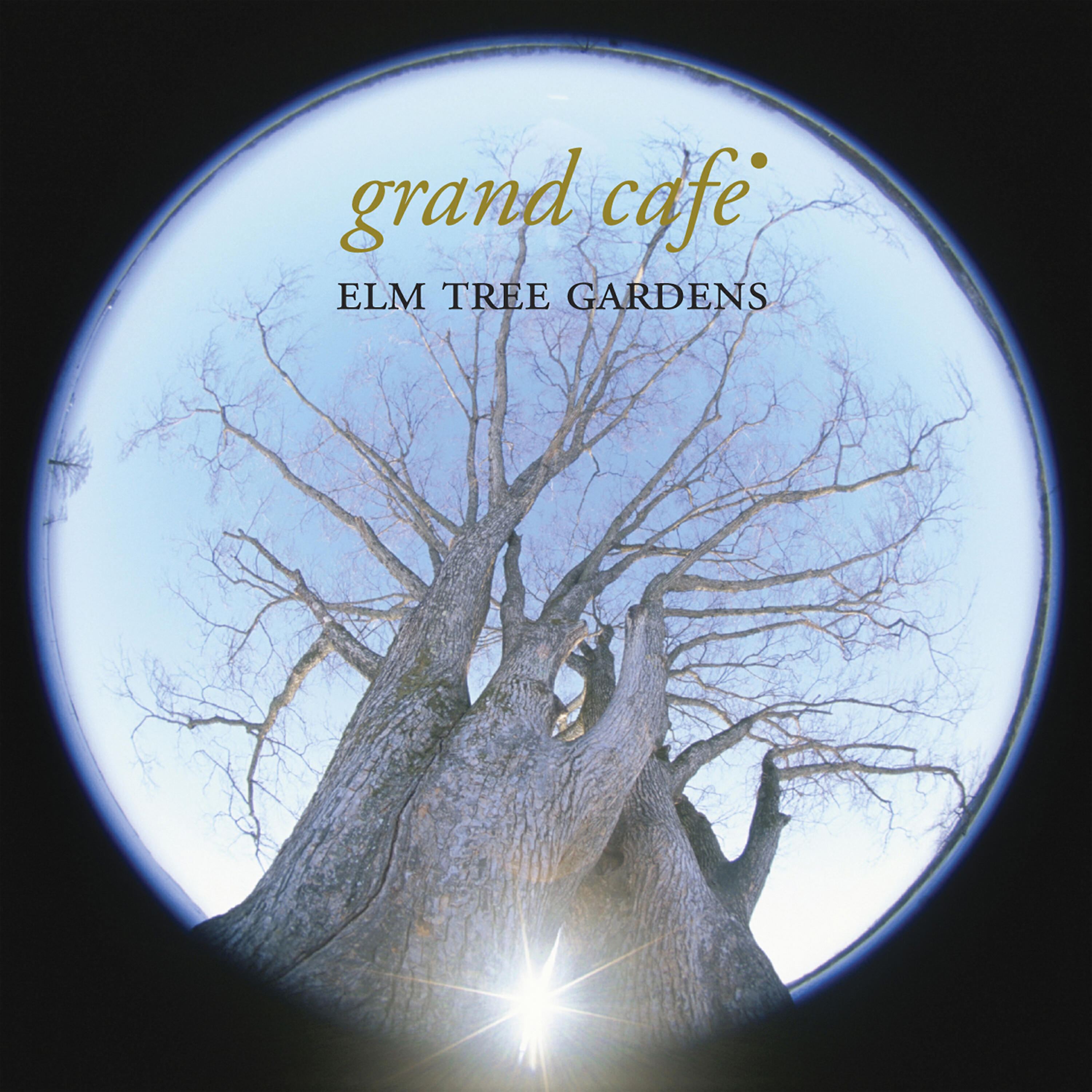 Релиз Elm Tree Gardens