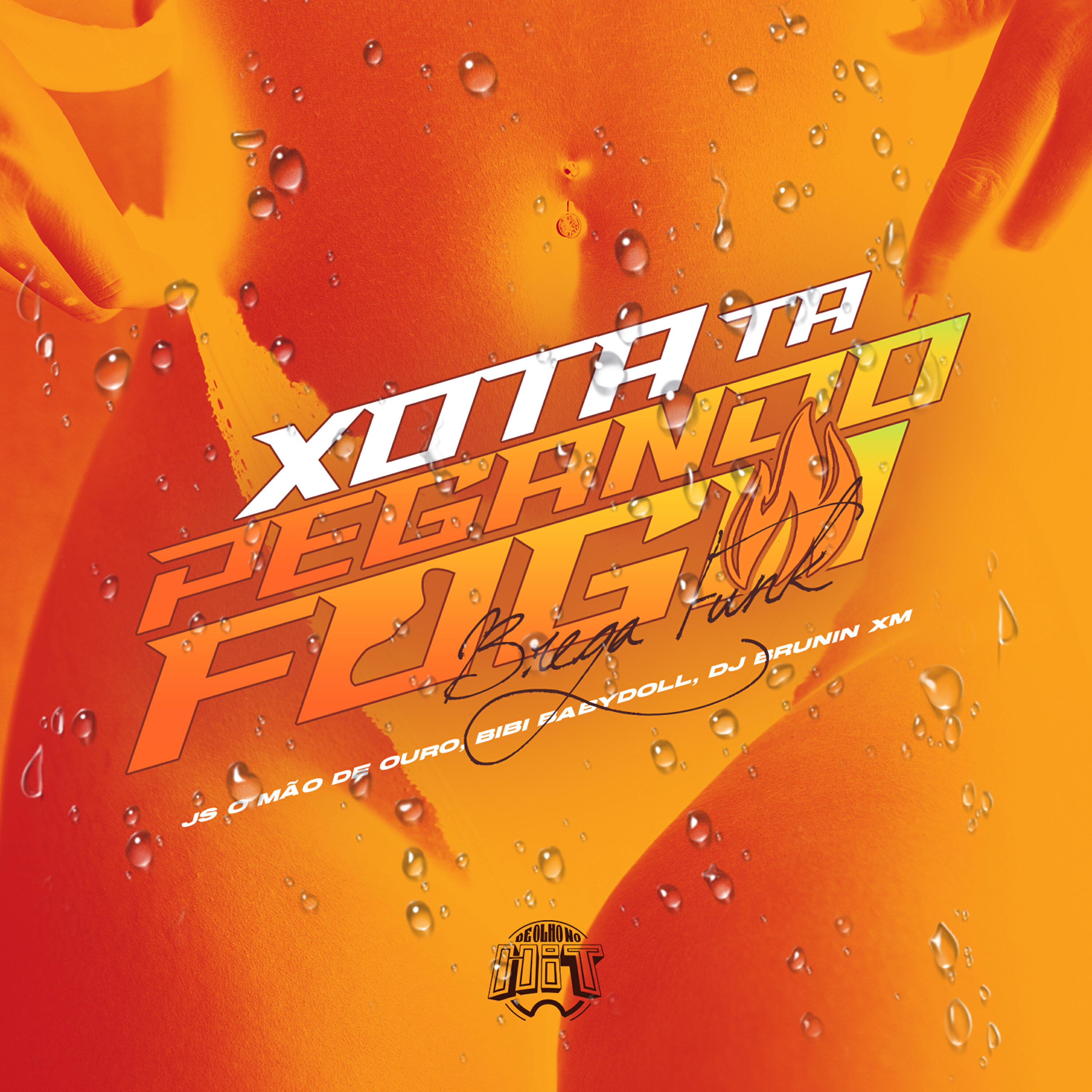 Релиз Xota Tá Pegando Fogo (Brega Funk)