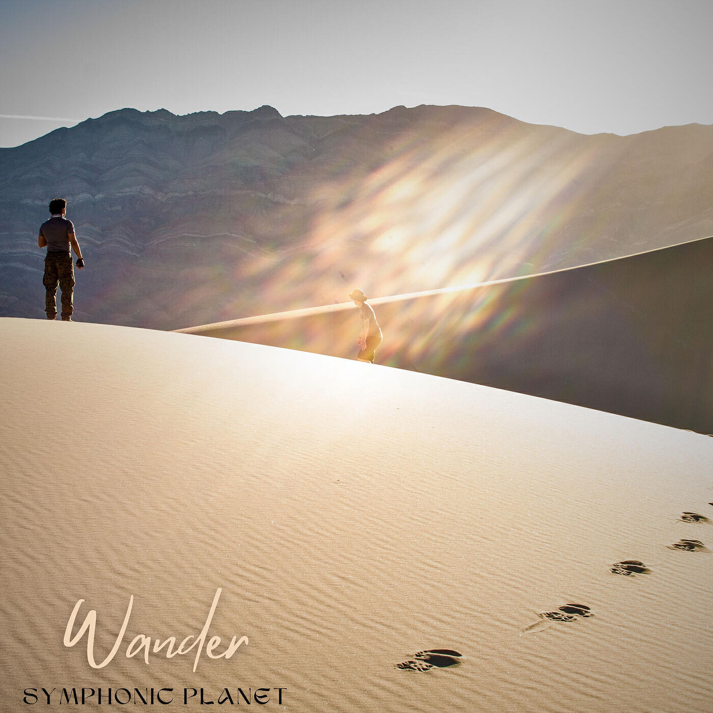 Релиз Wander