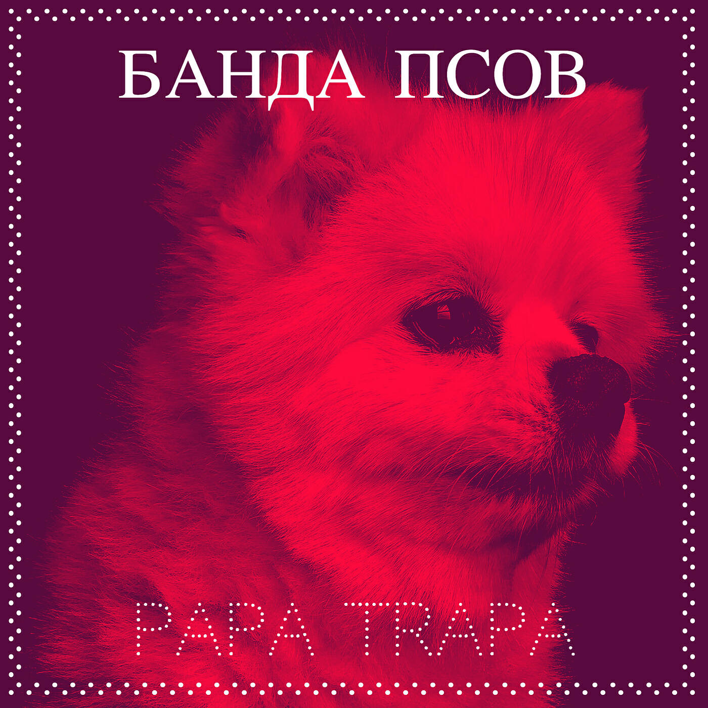 Релиз Банда псов