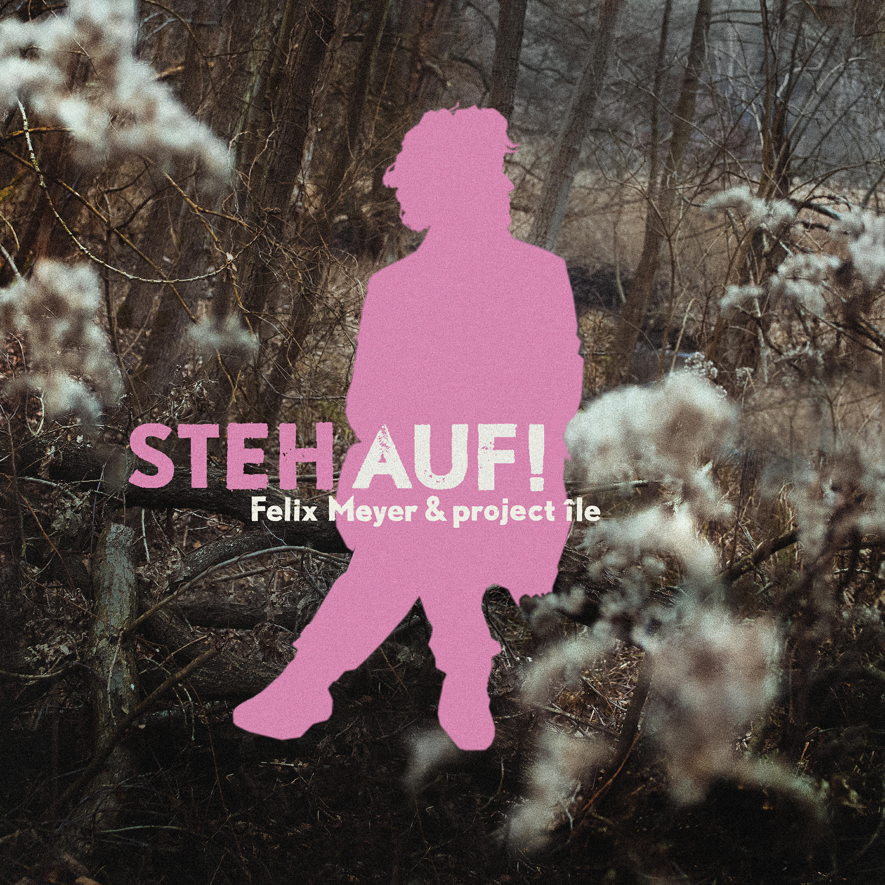 Релиз Steh auf!