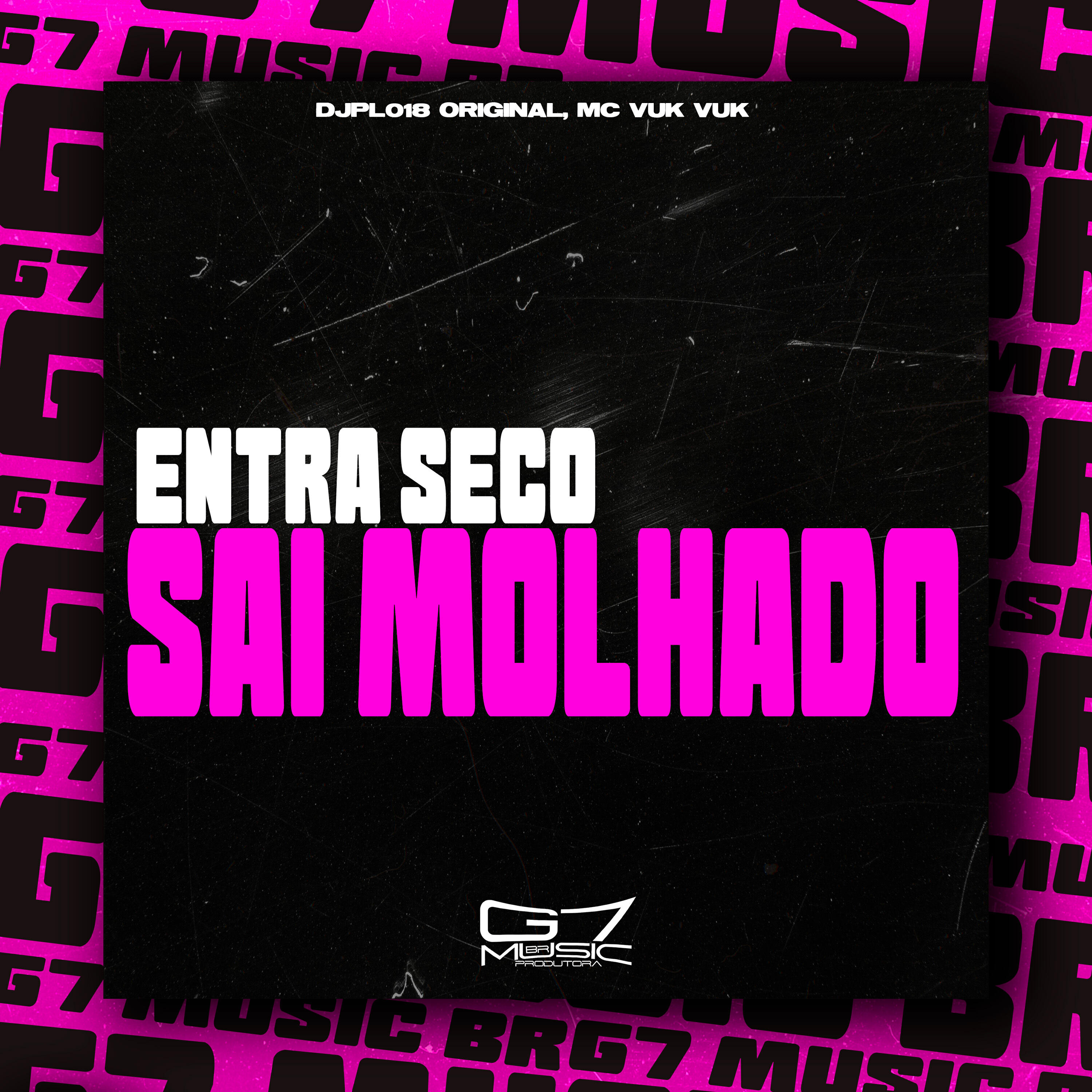Скачать песню DJPL018 ORIGINAL, MC Vuk Vuk, G7 MUSIC BR - Entra Seco Sai Molhado бесплатно в MP3 для Android и iOS