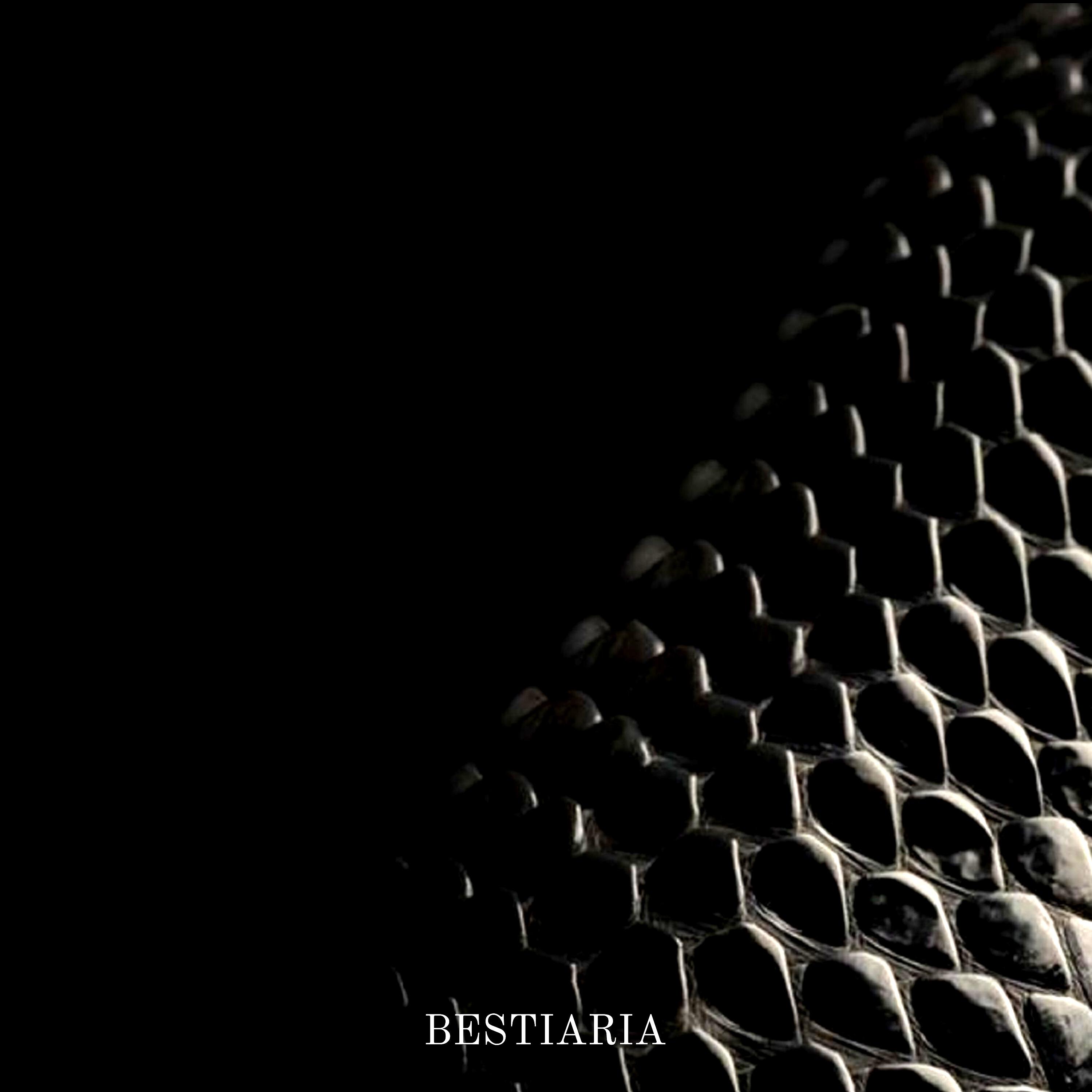 Релиз Bestiaria