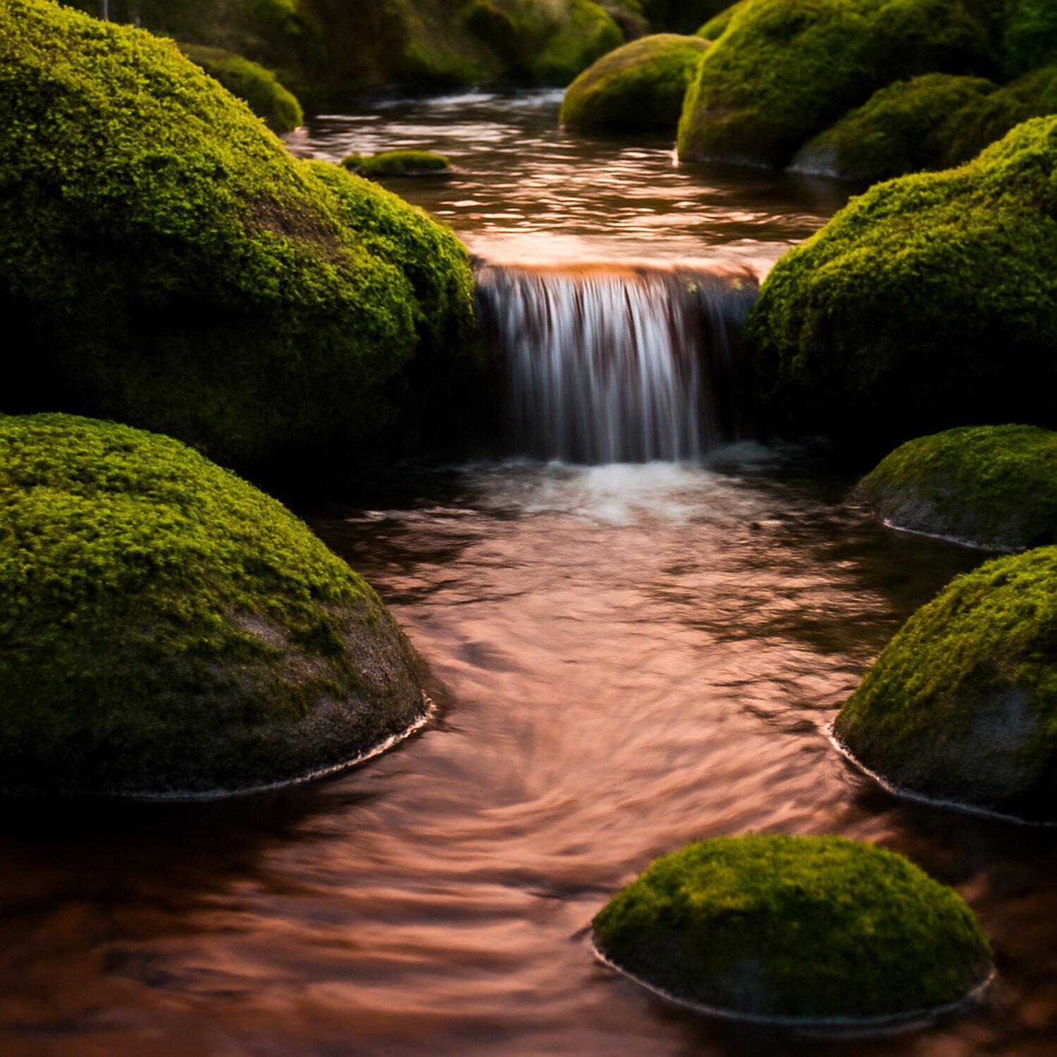 Релиз Whisper of Silence by Still Waters
