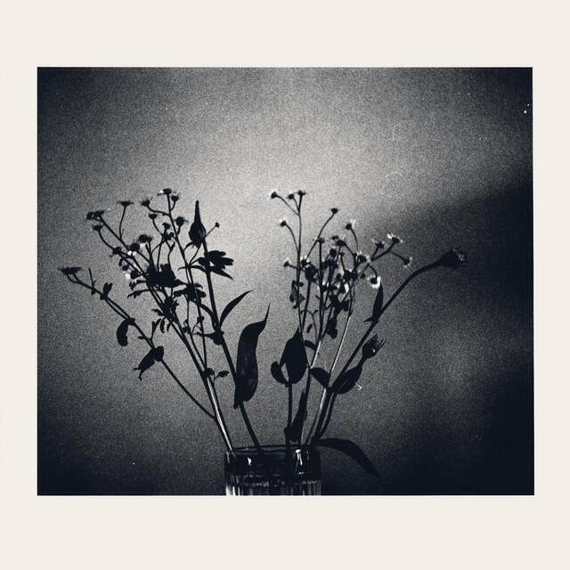 Релиз Monochrome in the Rain