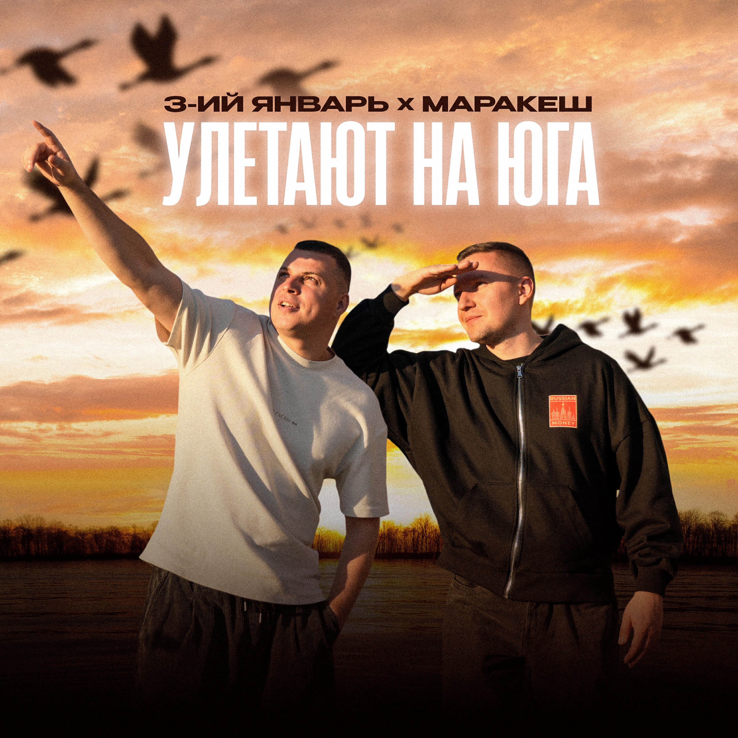 Улетают на юга
