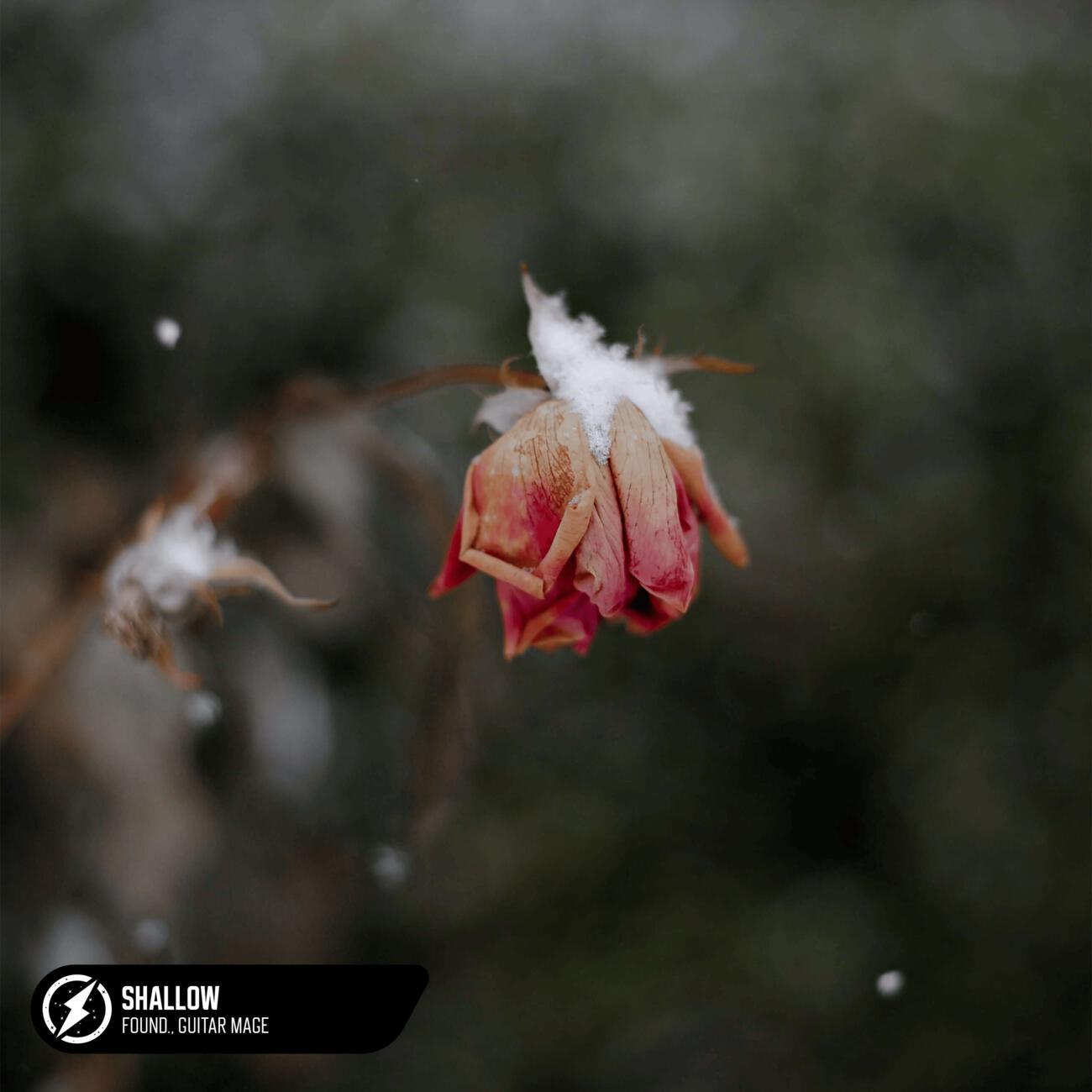 found., Guitar Mage - Shallow (Acoustic)