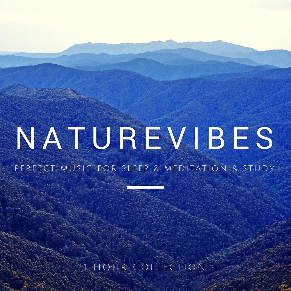 Постер альбома Nature Vibes 1: Perfect Sounds For Meditation & Sleep & Study