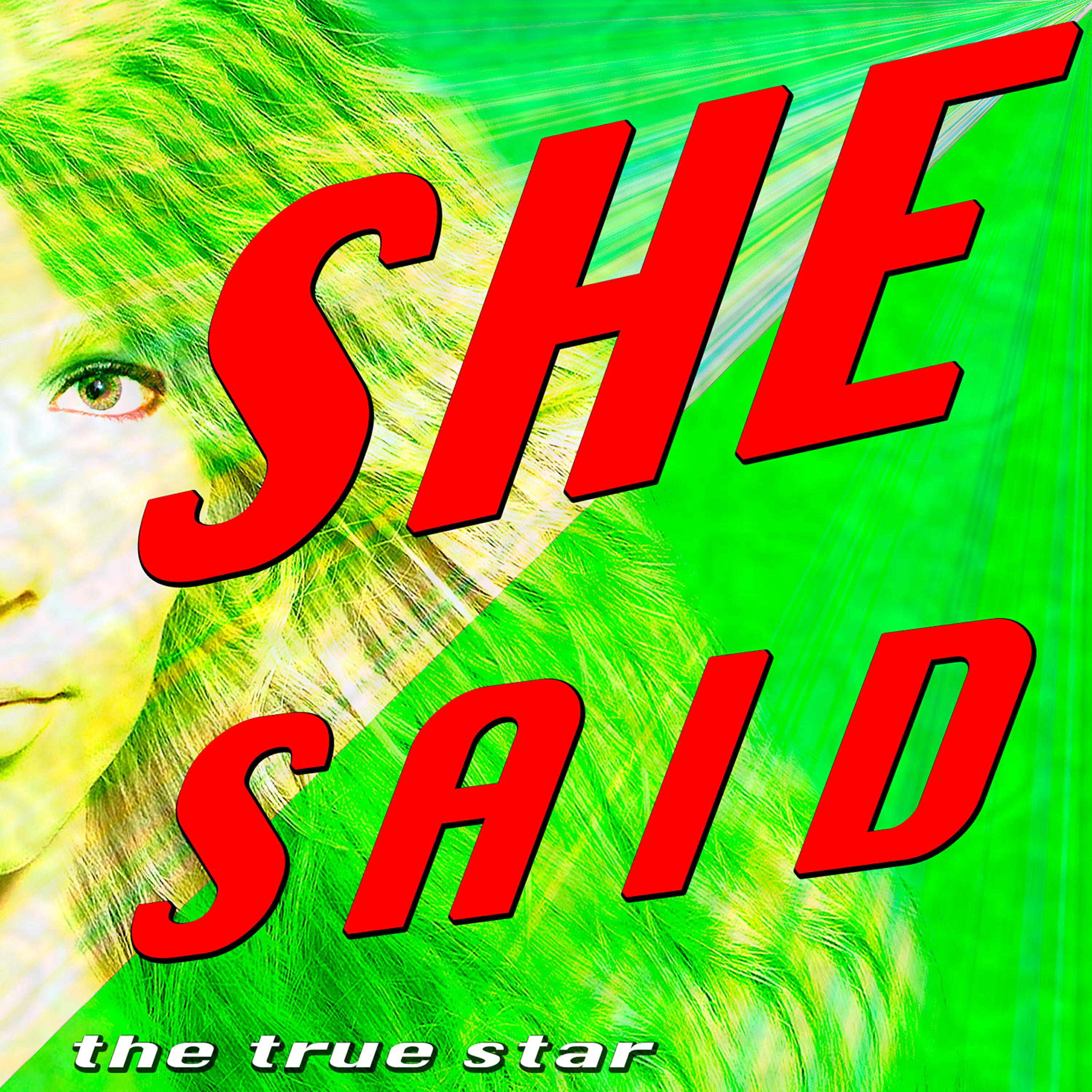 Релиз She Said (Plan B Tribute)