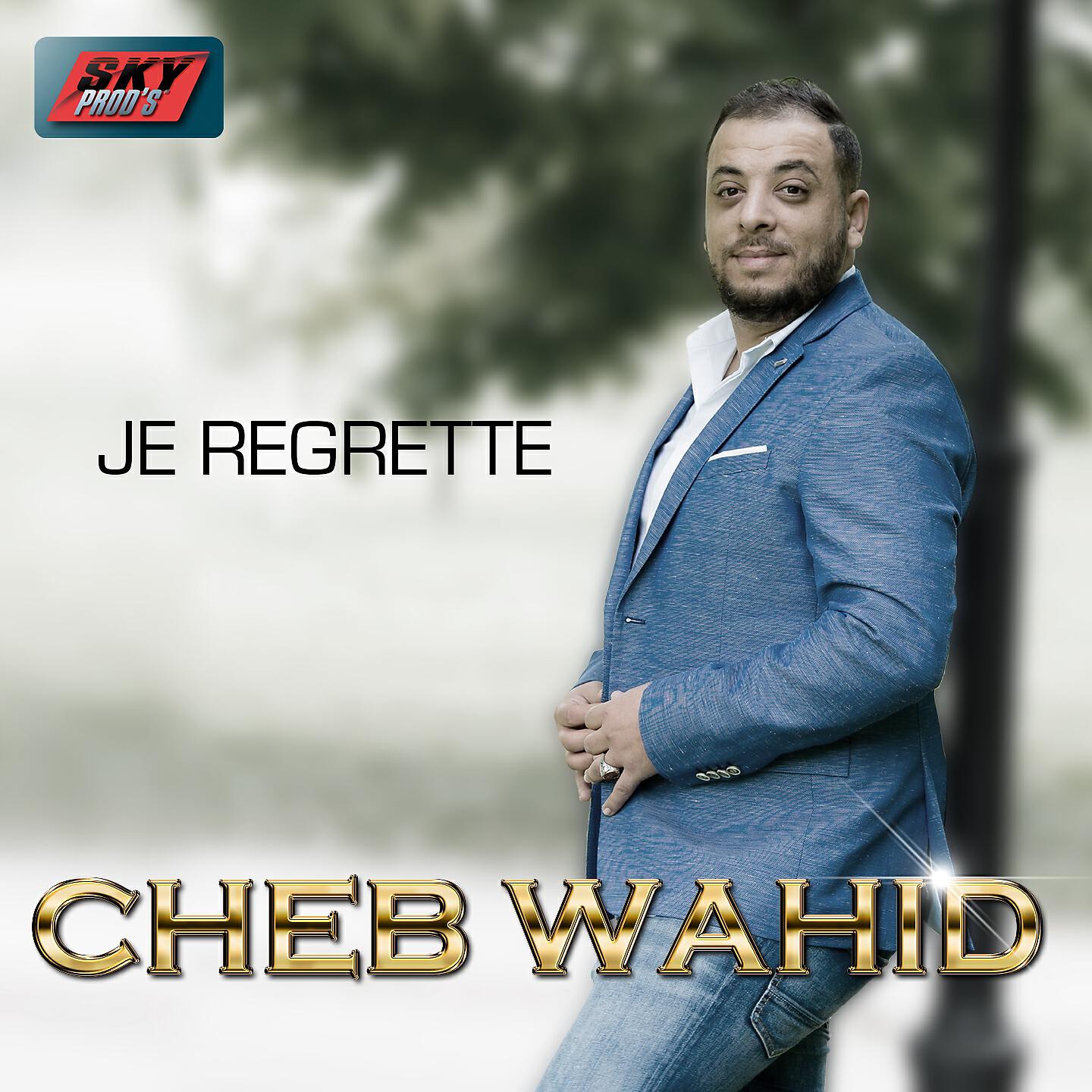 Релиз Je regrette