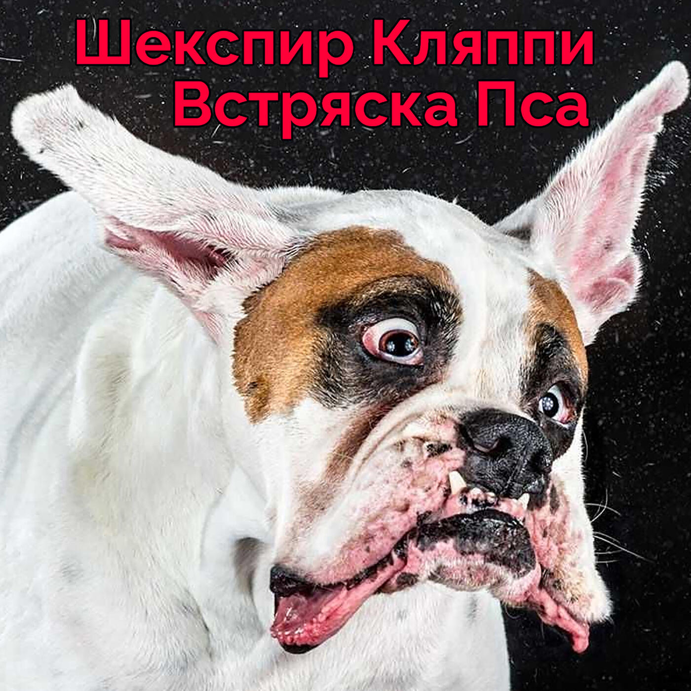 Релиз Встряска пса
