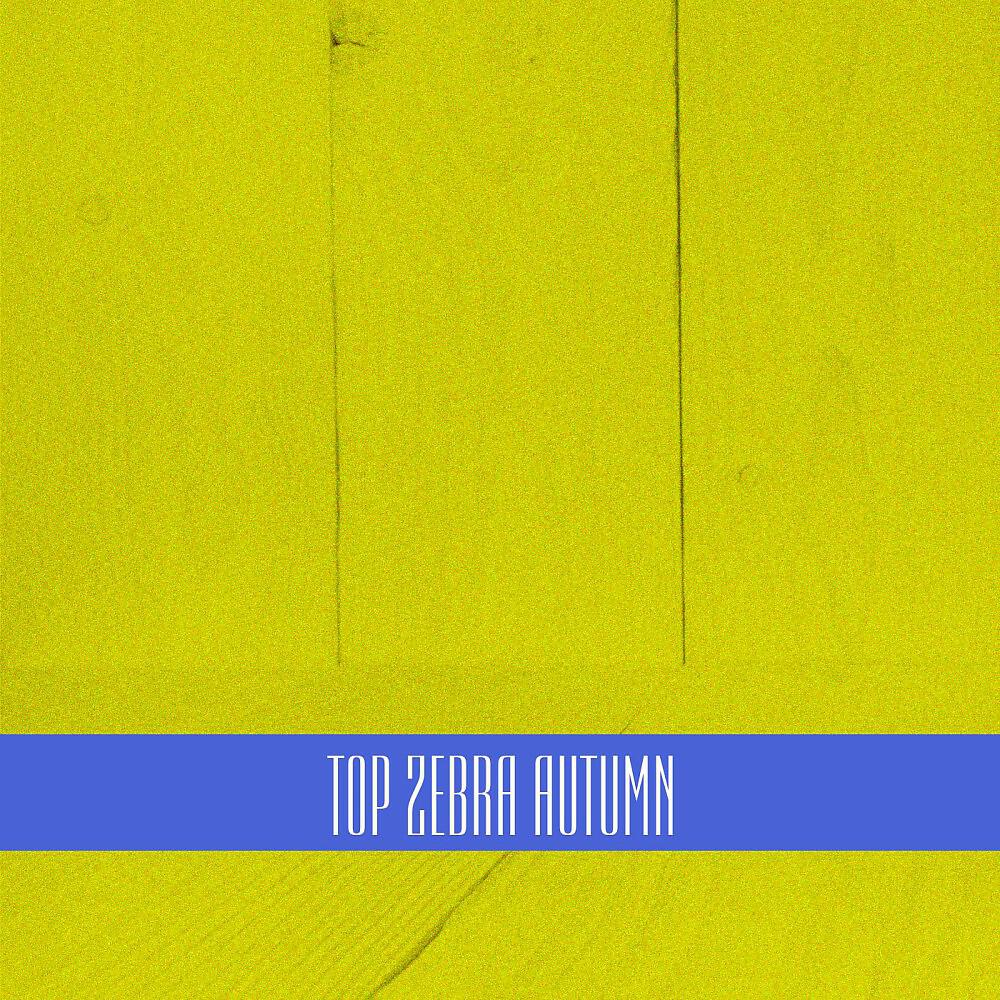 Релиз Top Zebra Autumn