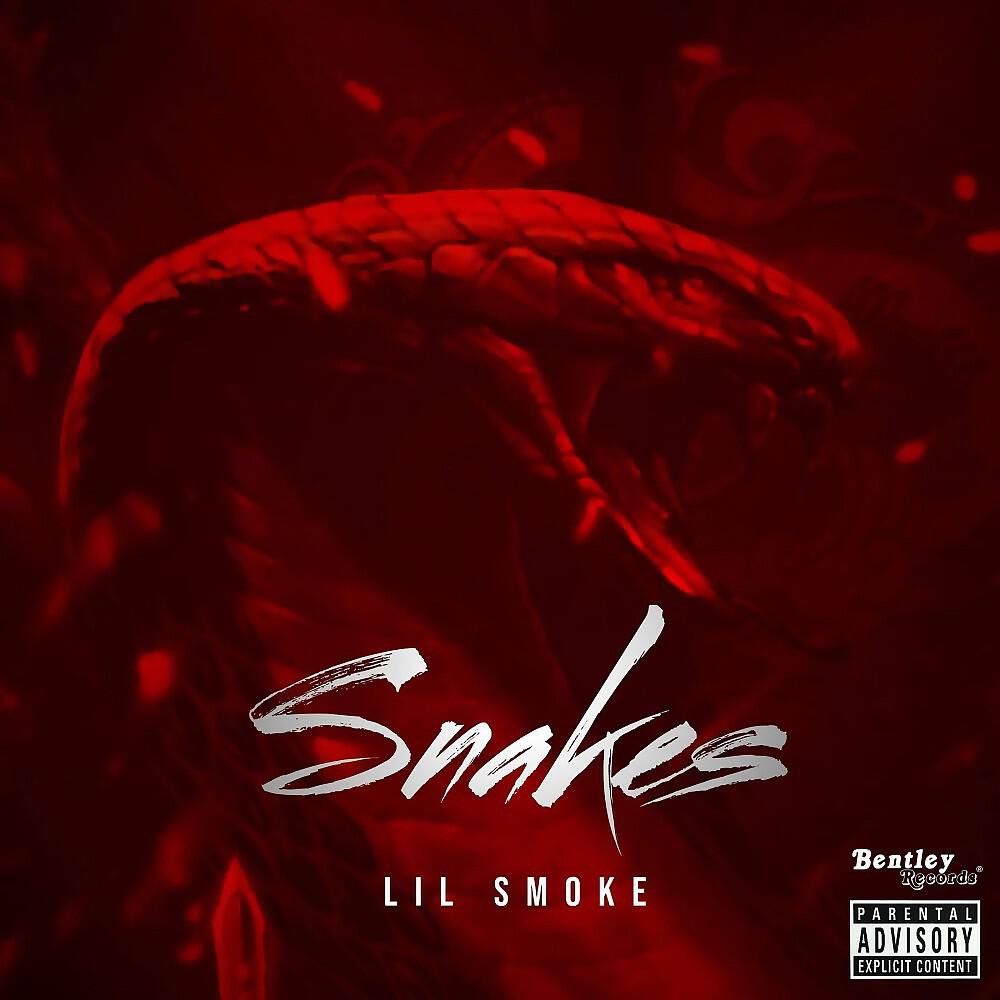 Релиз Snakes